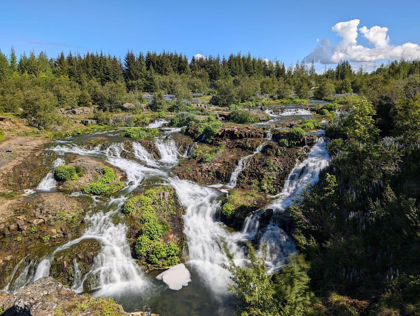 Elliðaárdalur in Reykjavik