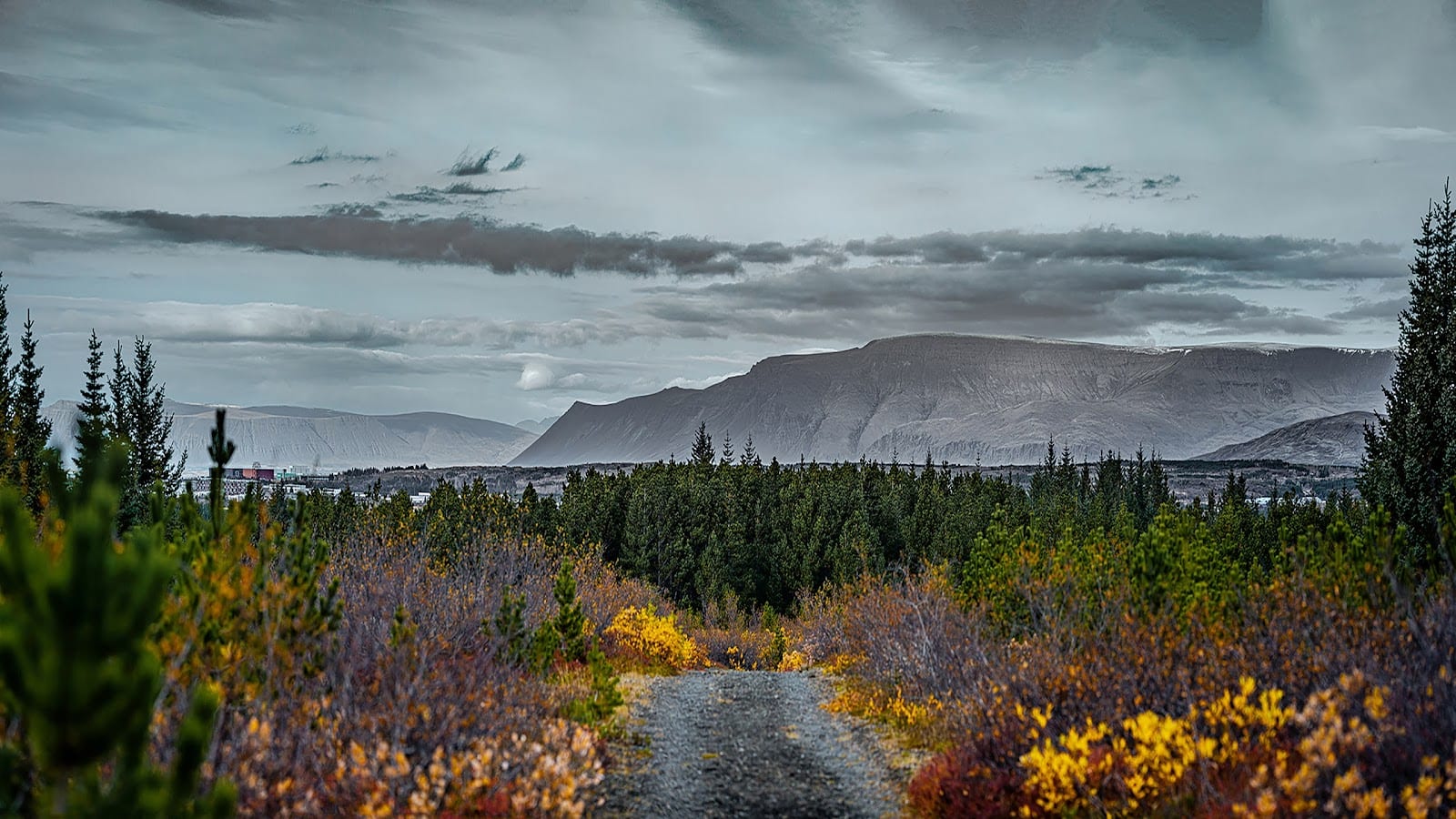Heiðmörk Nature Reserve in Reykjavik
