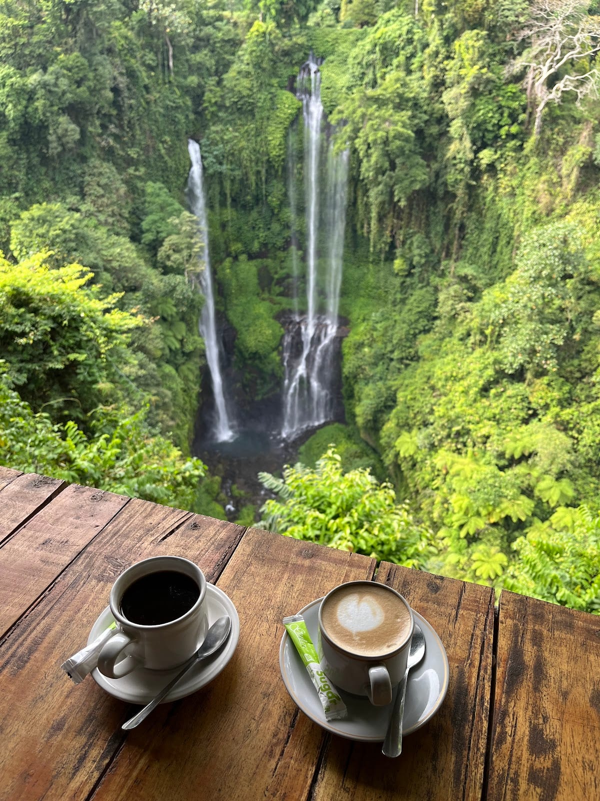 Sekumpul Waterfall in Bali