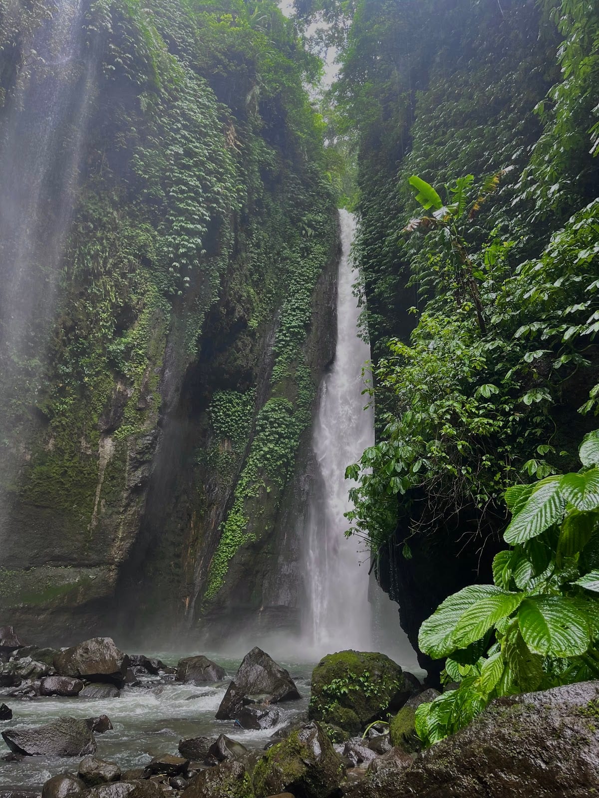 Sekumpul Waterfall in Bali