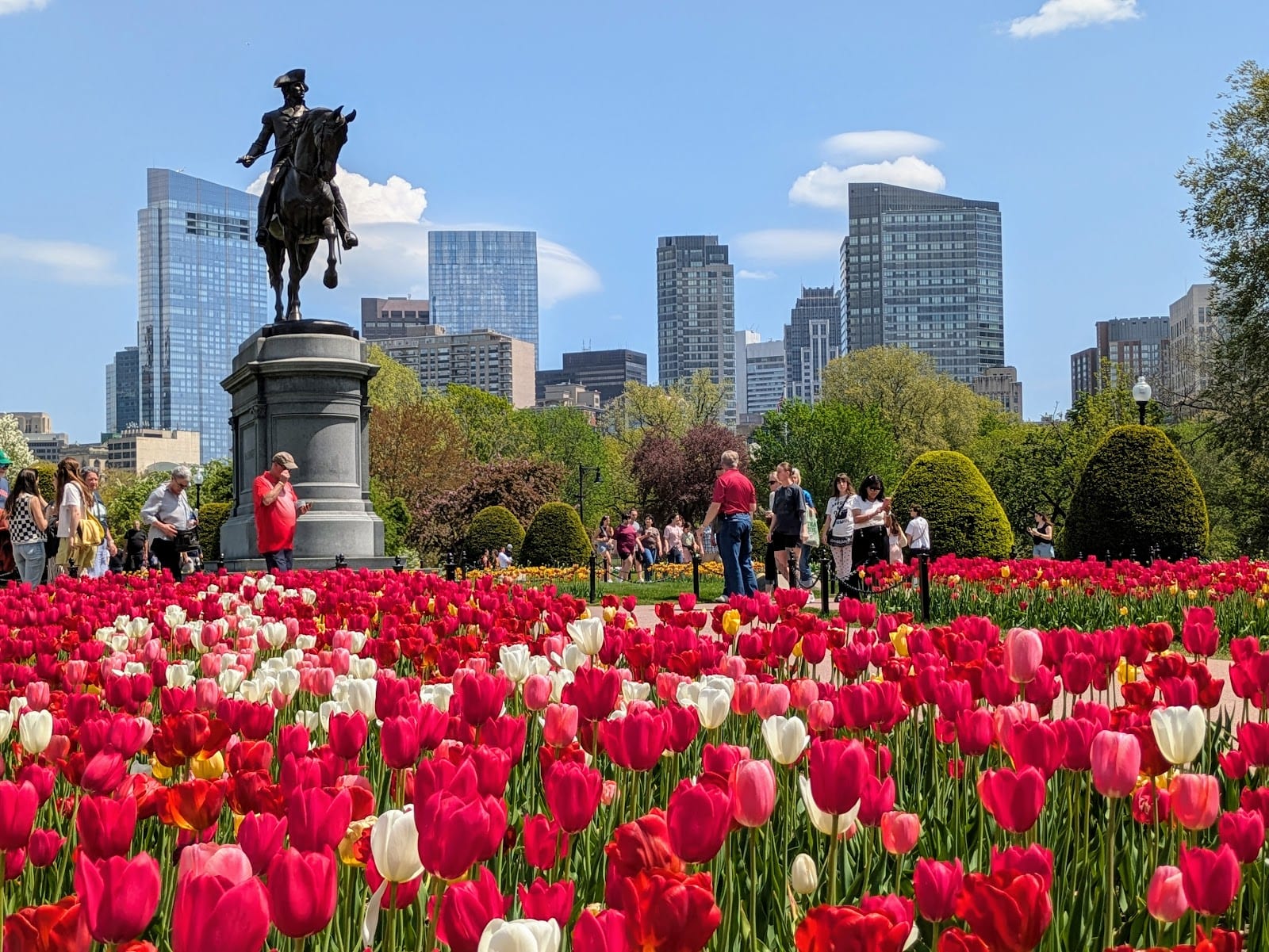 Boston Public Garden in spring with tulips blooming along the lagoon path.