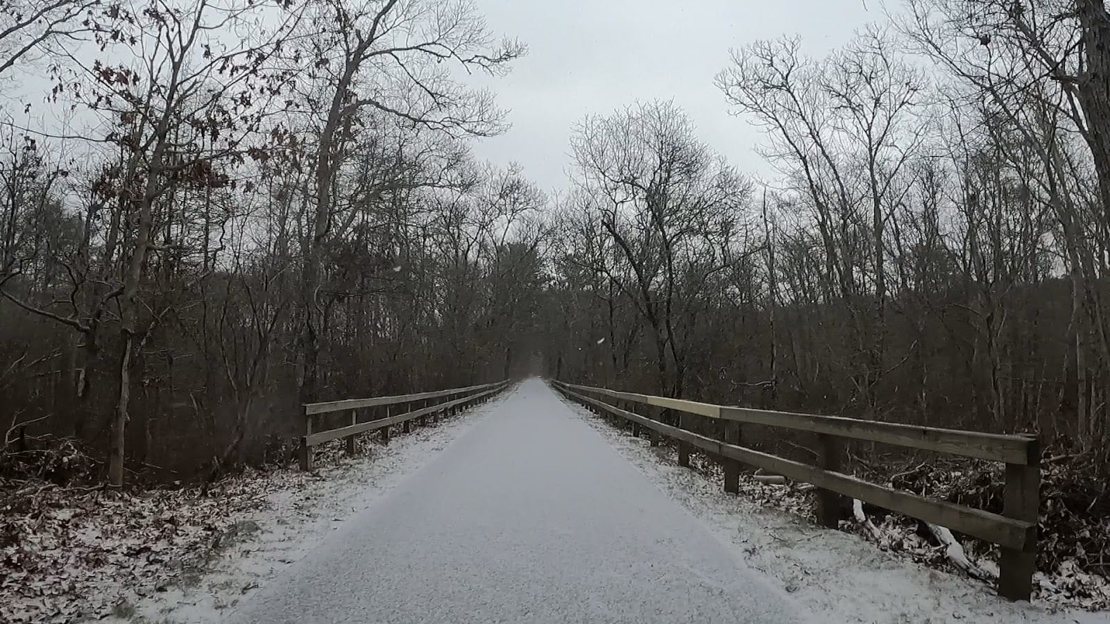 Cape Cod Rail Trail in Cape Cod