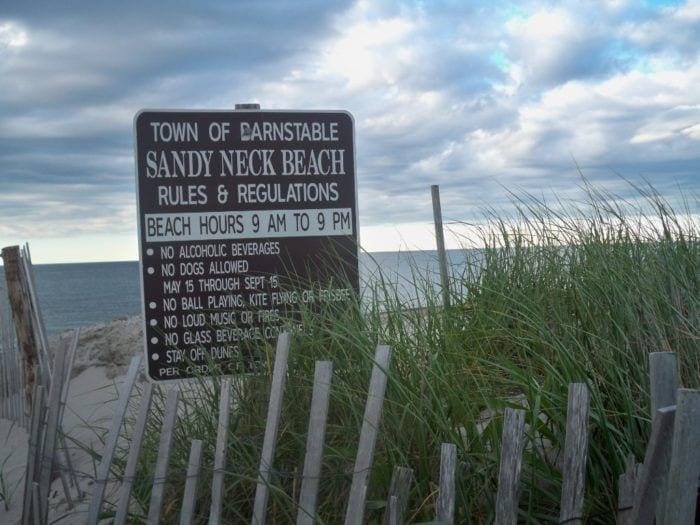 Sandy Neck Beach in Cape Cod