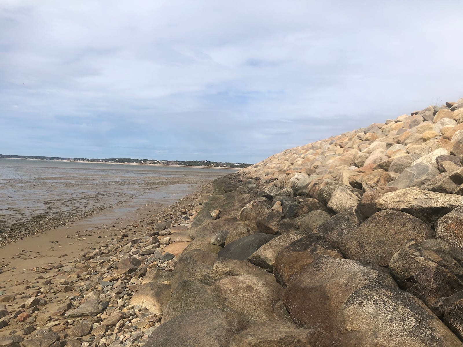 Wellfleet Harbor in Cape Cod