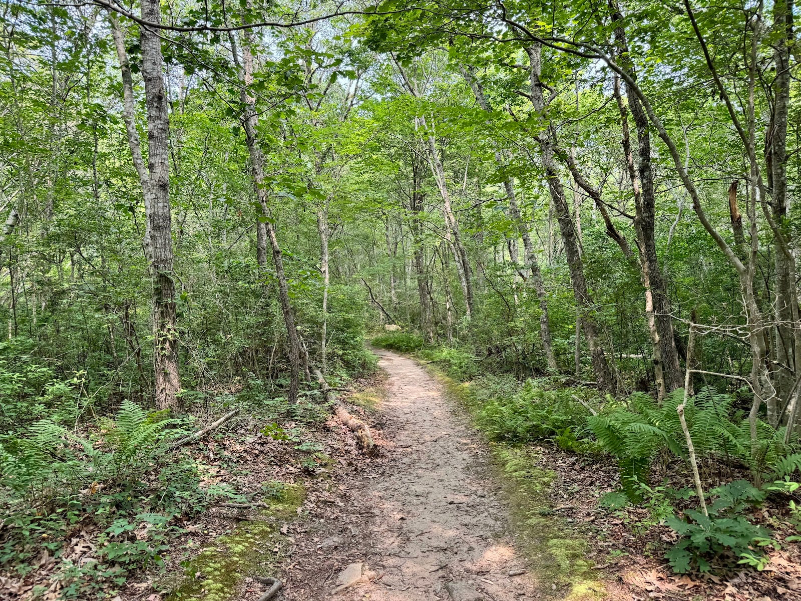 Menemsha Hills Reservation in Martha's Vineyard