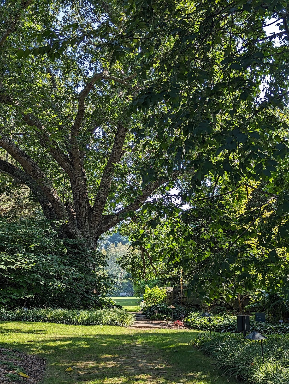 Polly Hill Arboretum in Martha's Vineyard