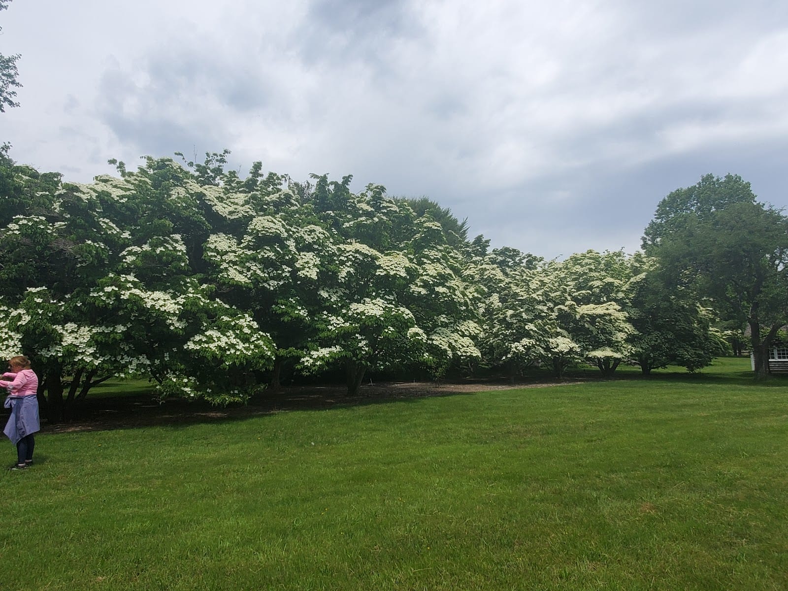 Polly Hill Arboretum in Martha's Vineyard