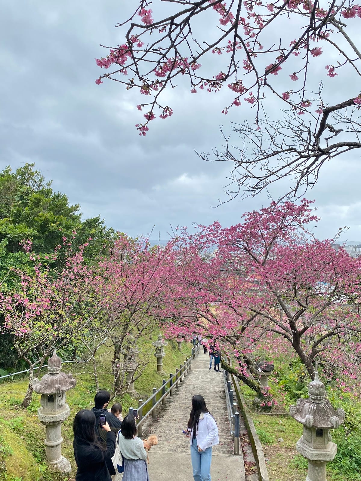 Nago Castle Park in Okinawa