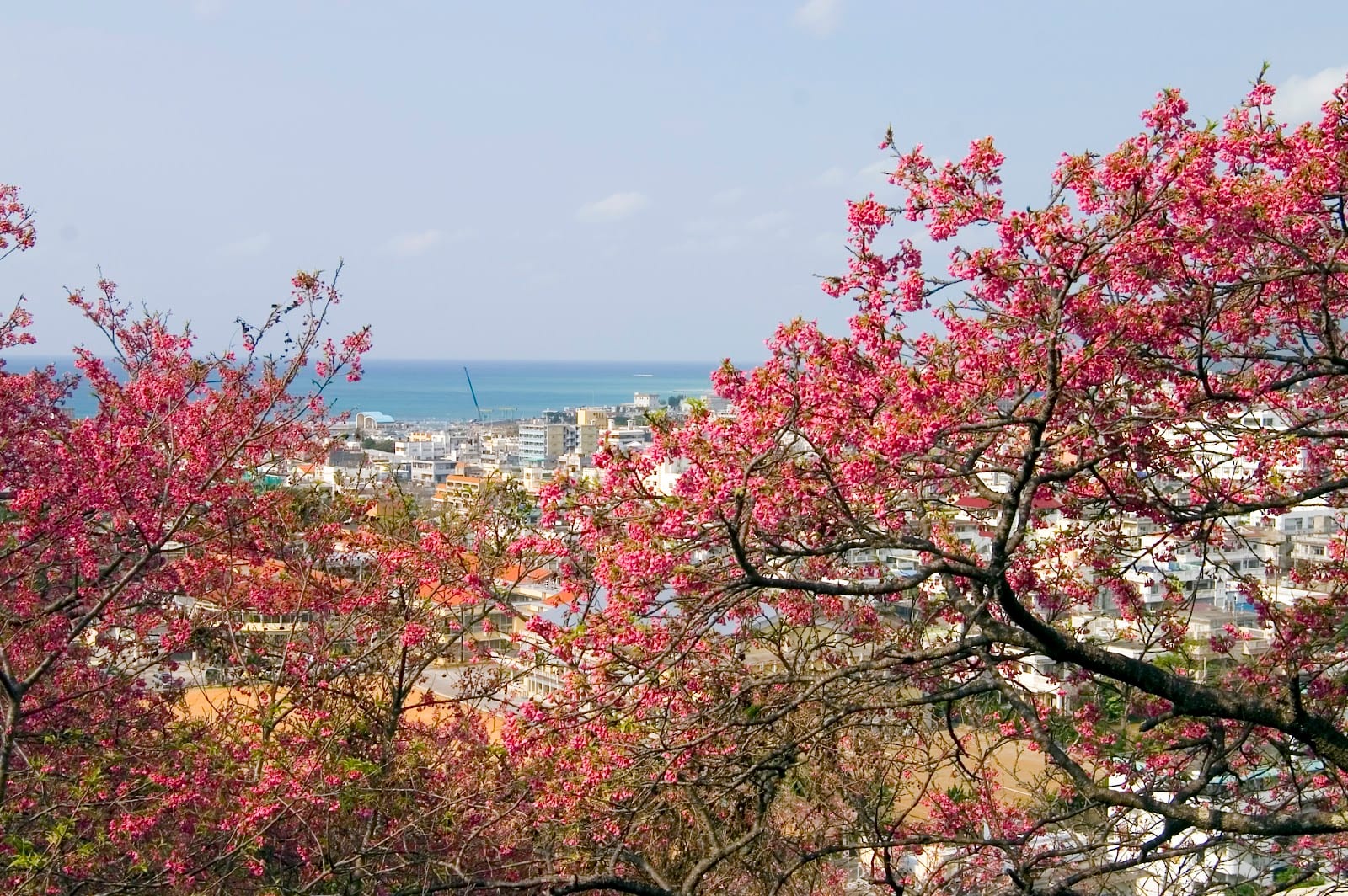 Nago Castle Park in Okinawa