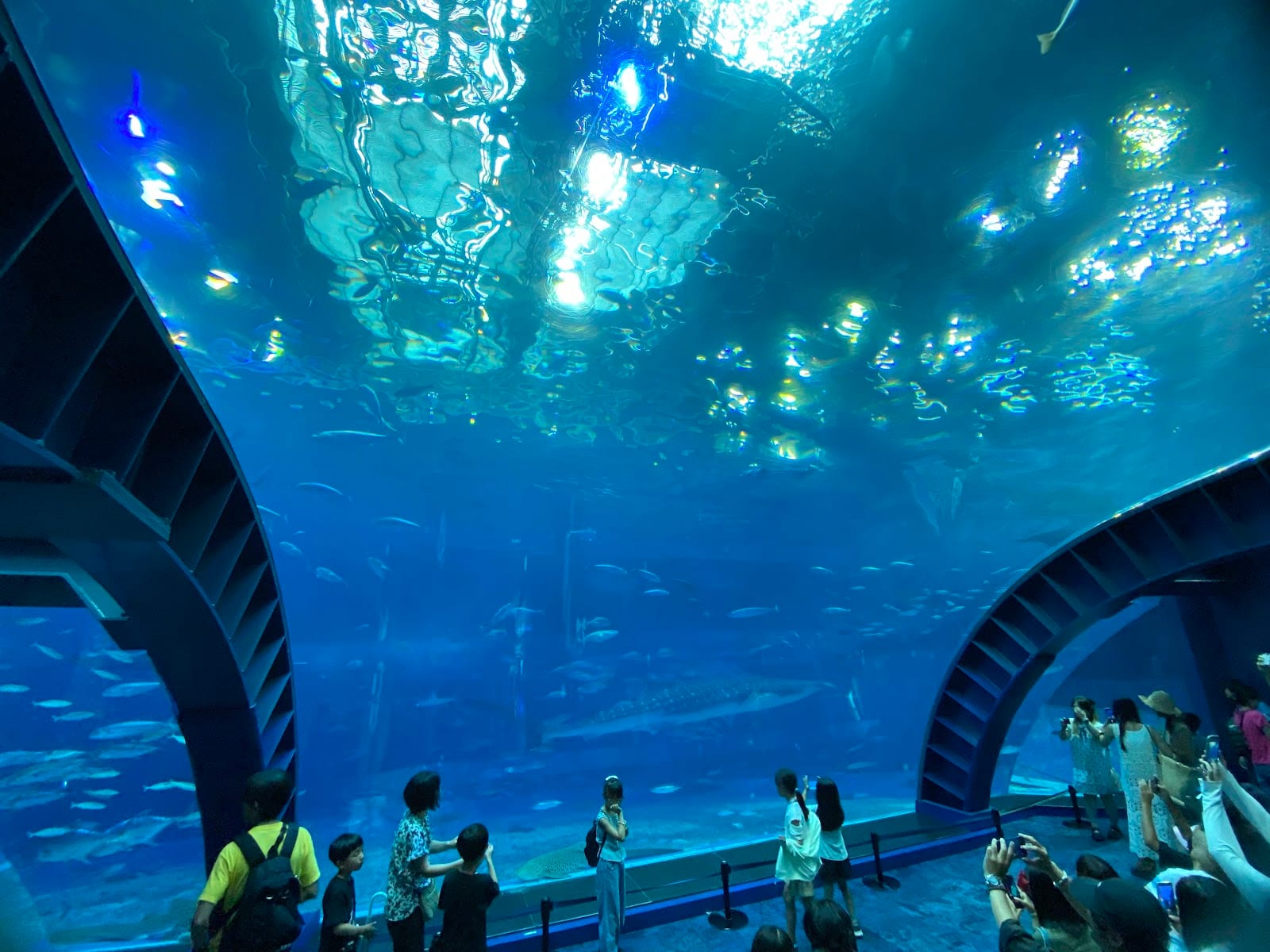 Okinawa Churaumi Aquarium in Okinawa