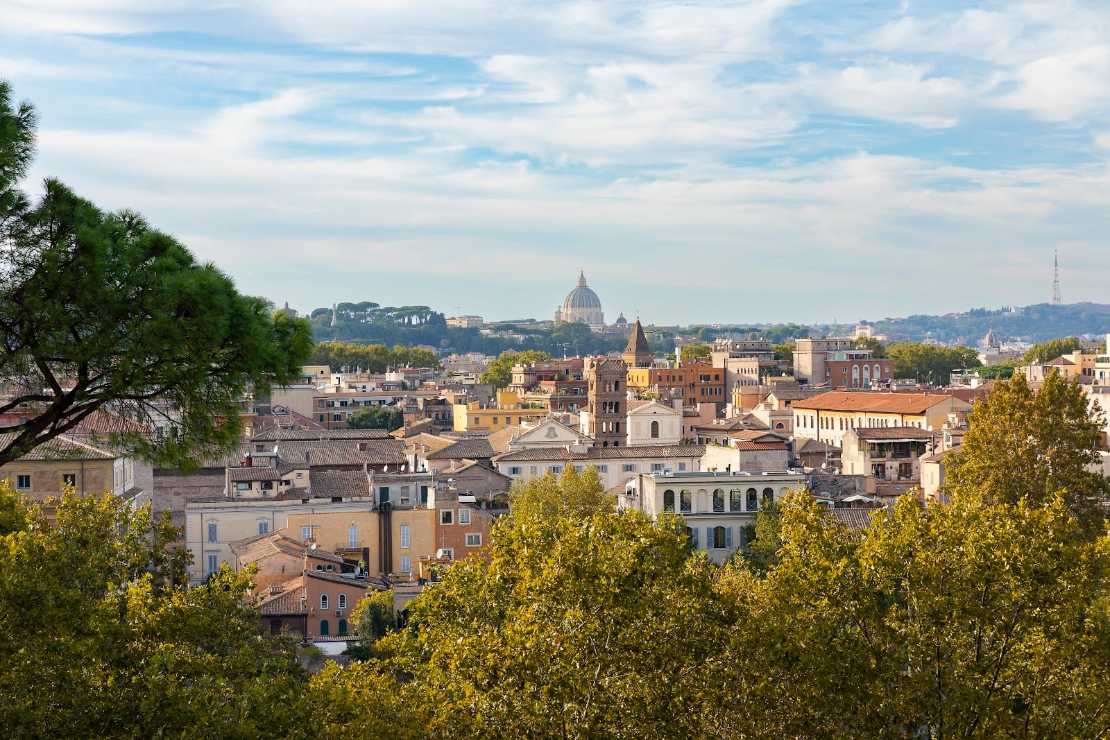 The umbrella-pine avenue of the Orange Garden on the Aventine, framing St Peter's dome in the distance.
