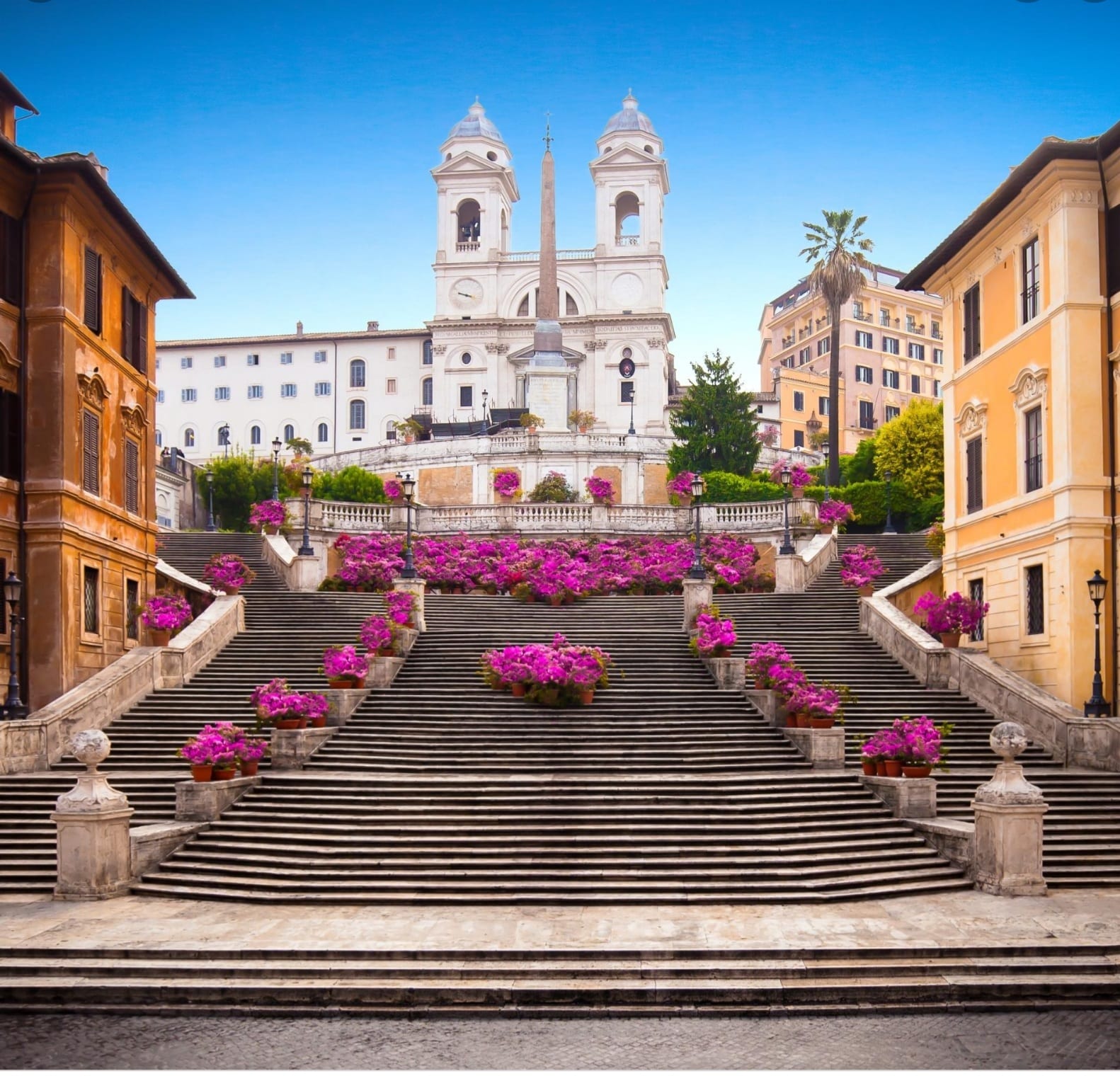 Pink azaleas in pots cascading down the Spanish Steps under a clear blue sky.