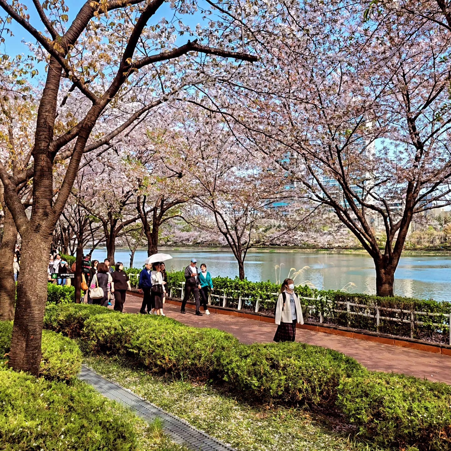Seokchon Lake in Seoul