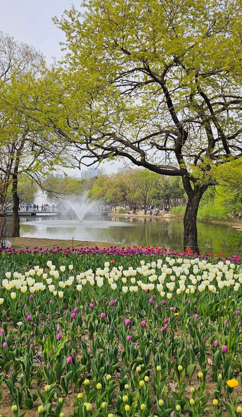 Seoul Forest in Seoul