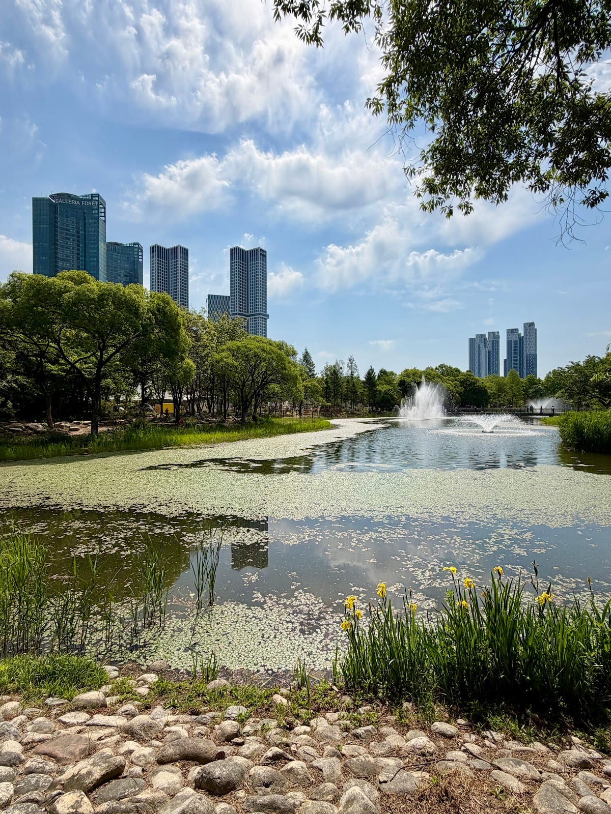 Seoul Forest in Seoul