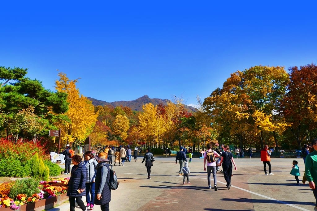 Seoul Grand Park in Seoul