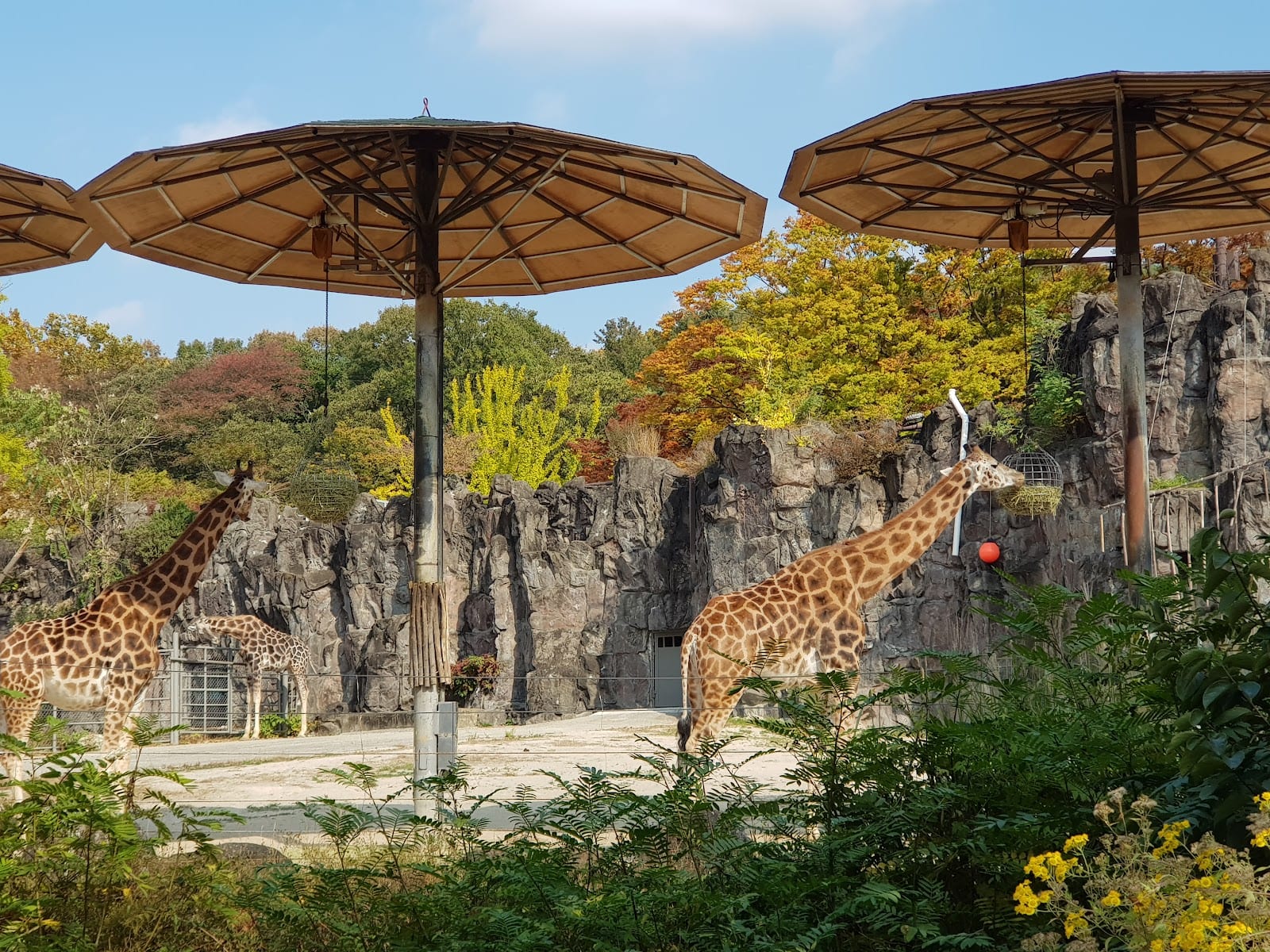 Seoul Grand Park in Seoul