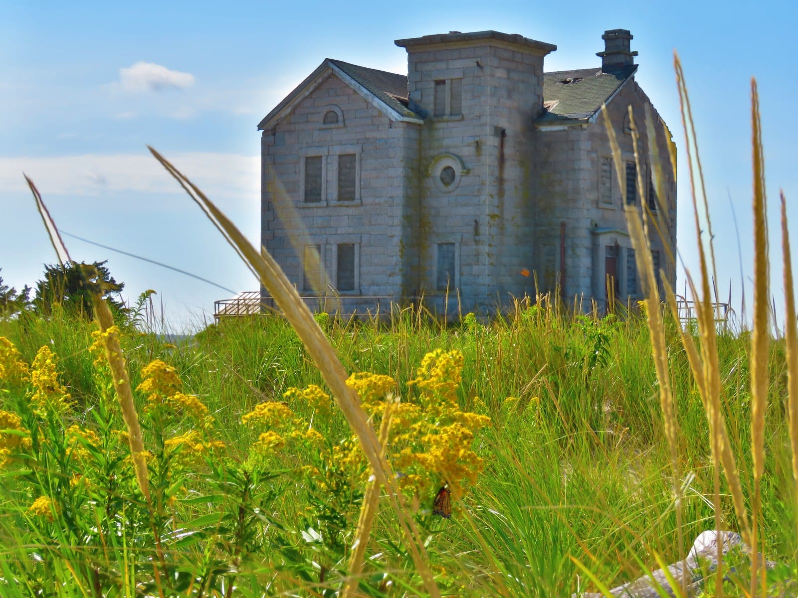 Cedar Point County Park in The Hamptons