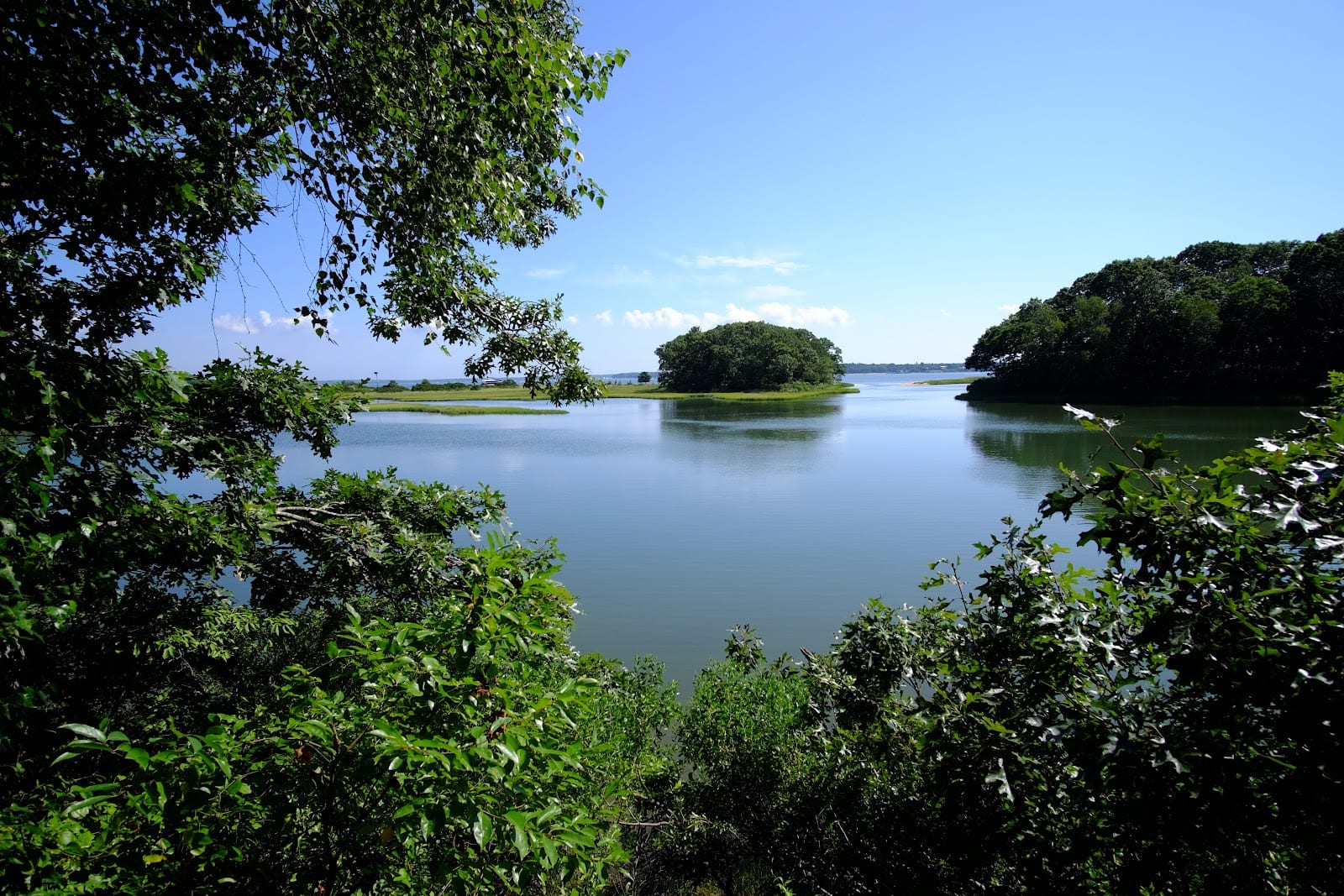 Mashomack Preserve in The Hamptons