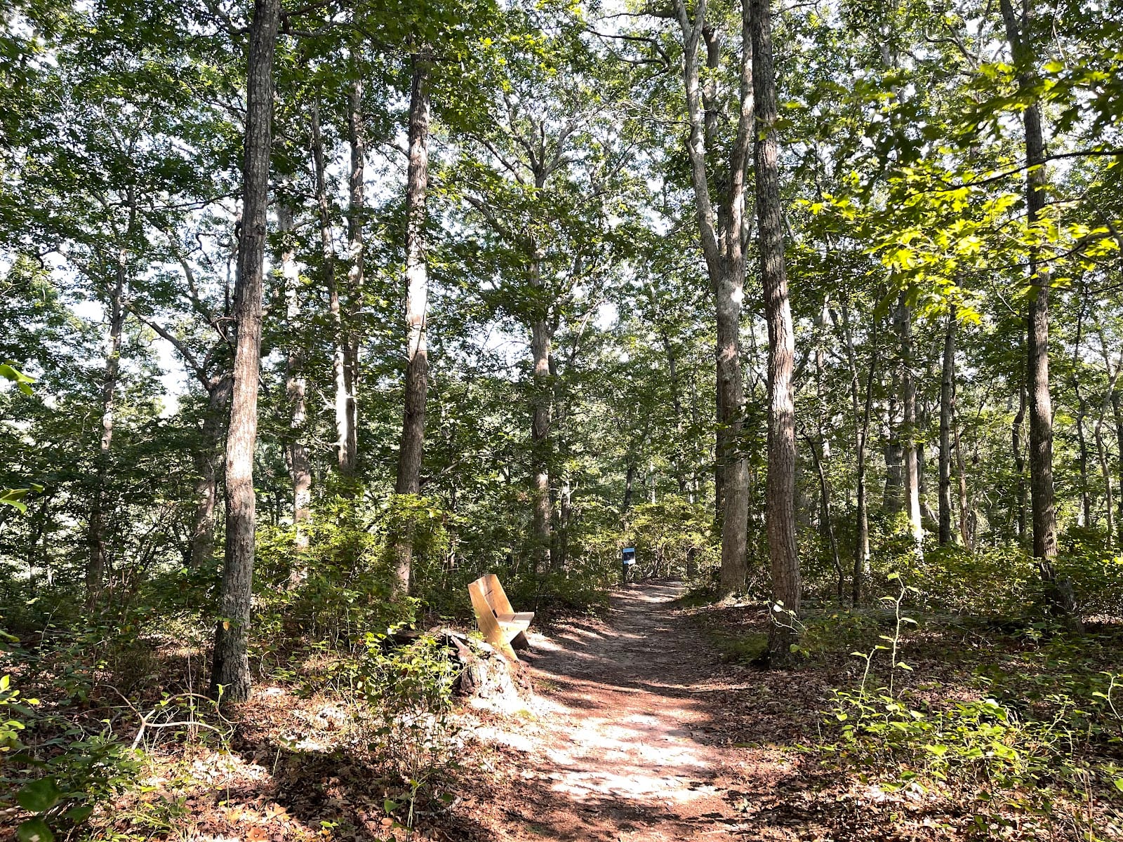 Mashomack Preserve in The Hamptons