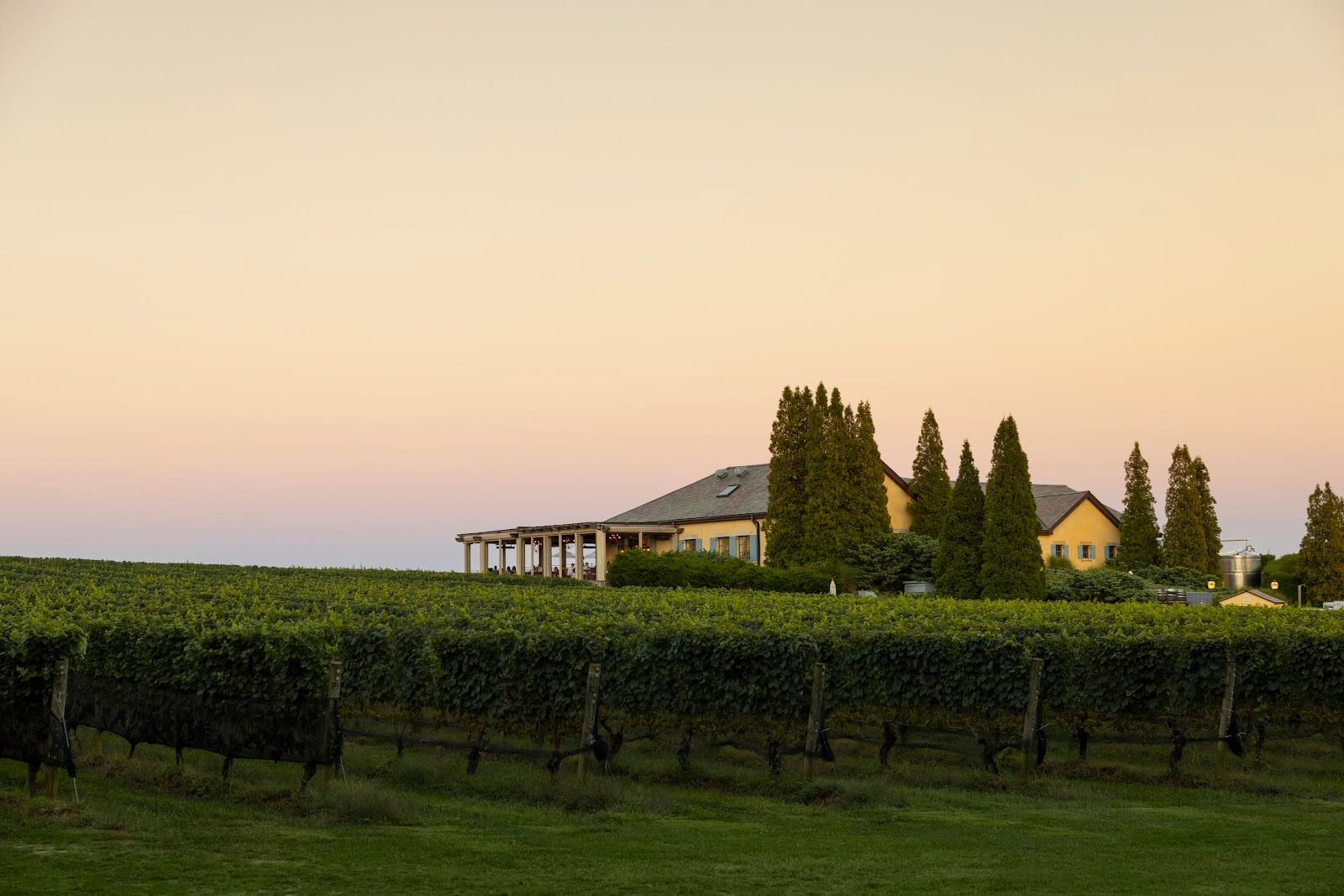 Wölffer Estate Vineyard in The Hamptons