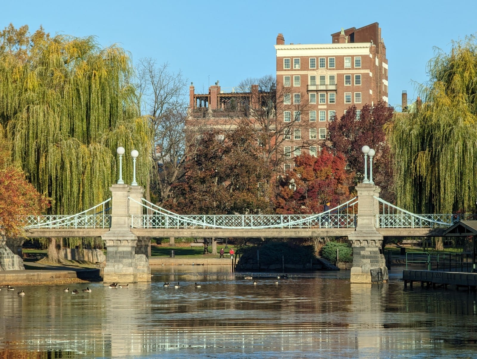 A footbridge over a lagoon in the Boston Public Garden with greenery and city buildings behind.