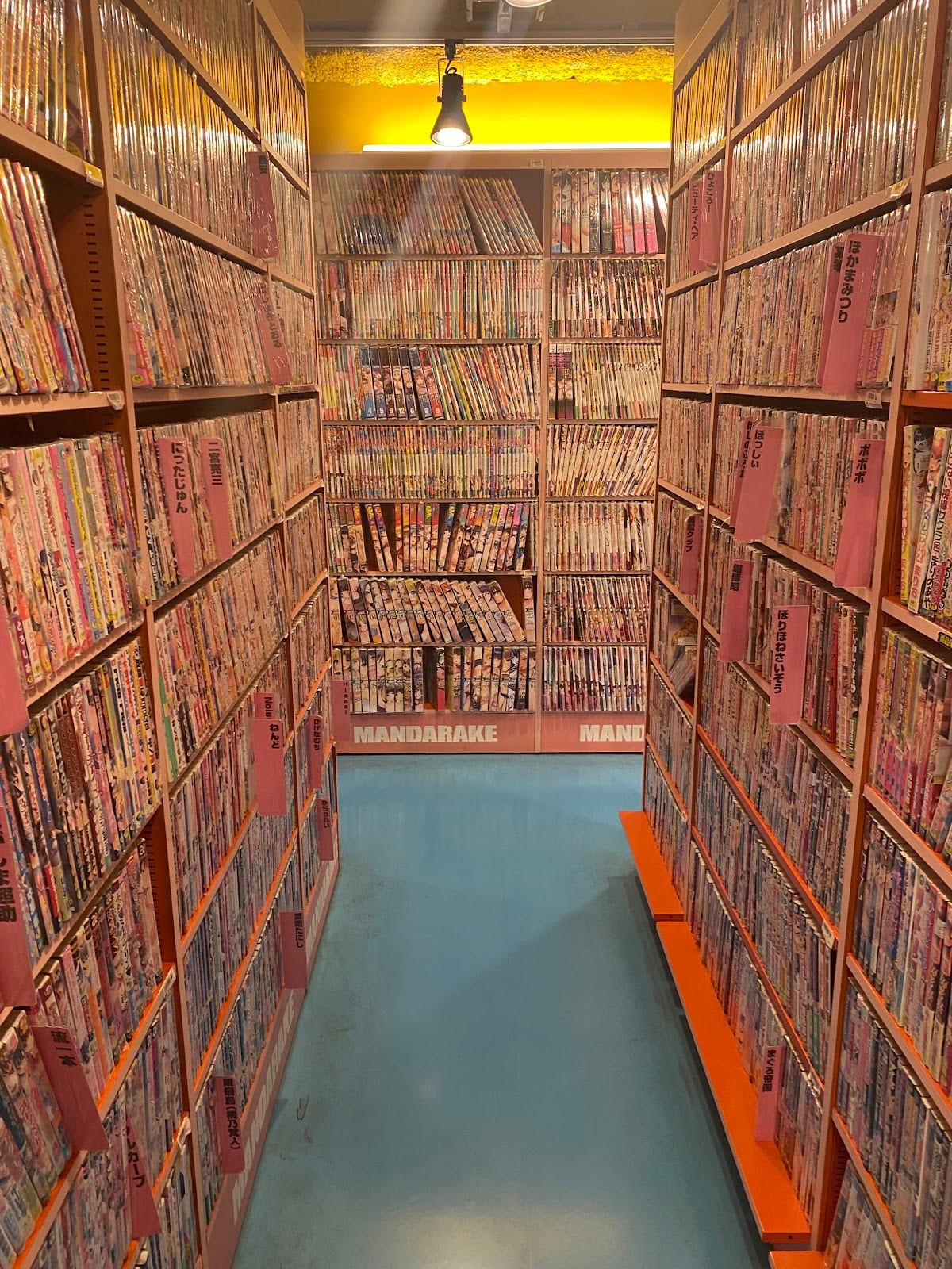 Floor-to-ceiling aisles of secondhand manga at Mandarake.