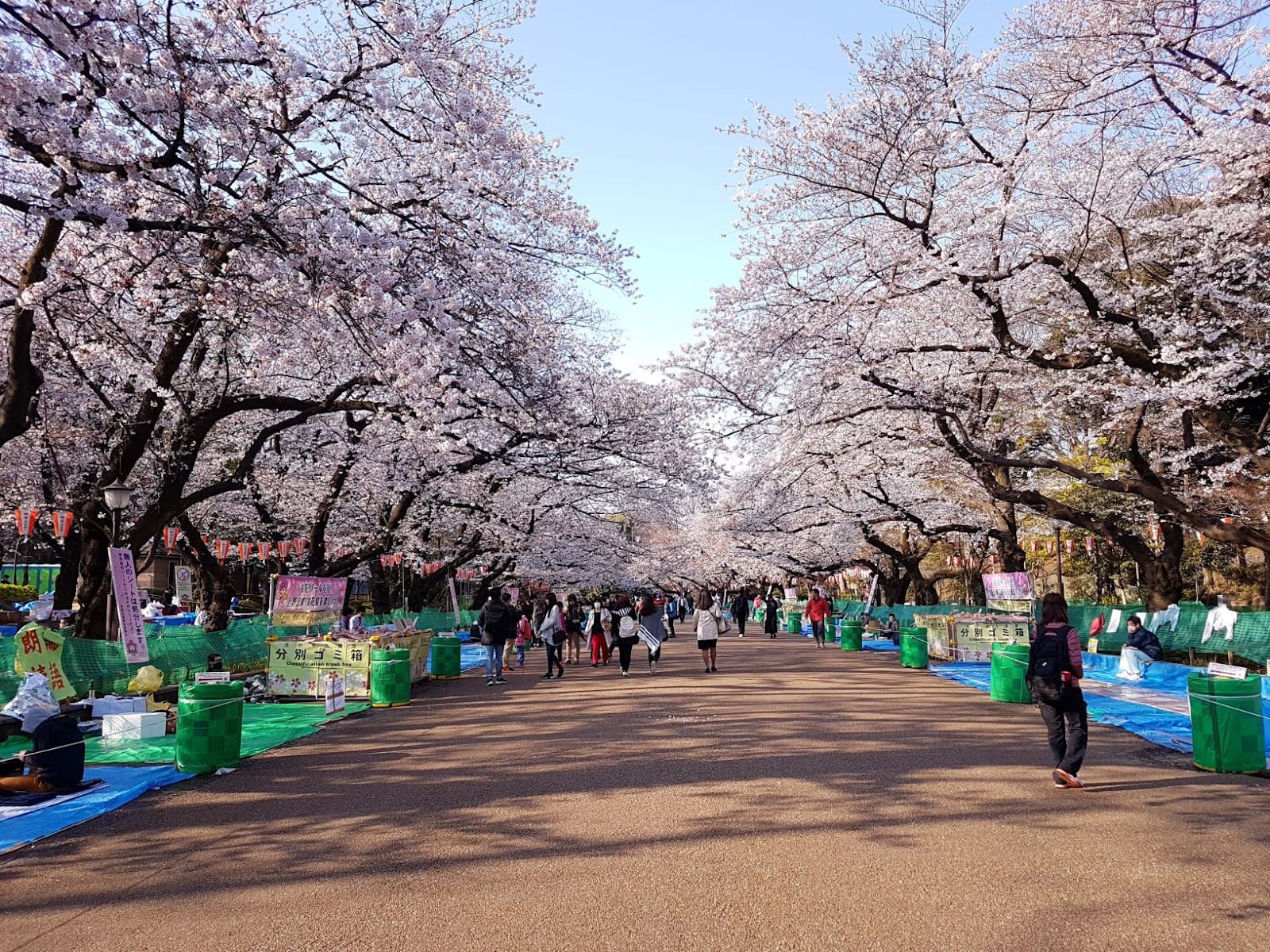 Tree-lined paths in Ueno Park, Tokyo.
