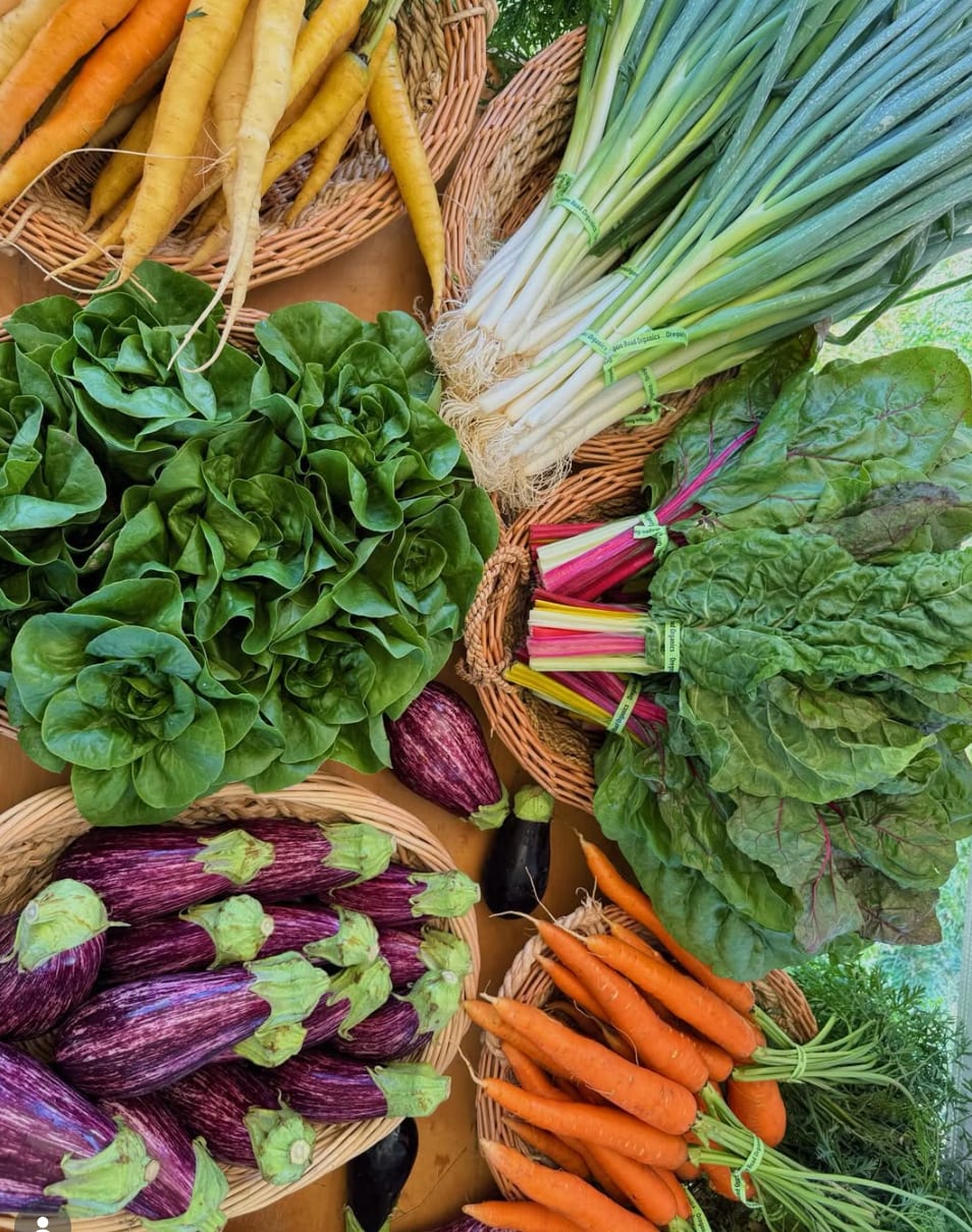 Amagansett Farmers Market in The Hamptons