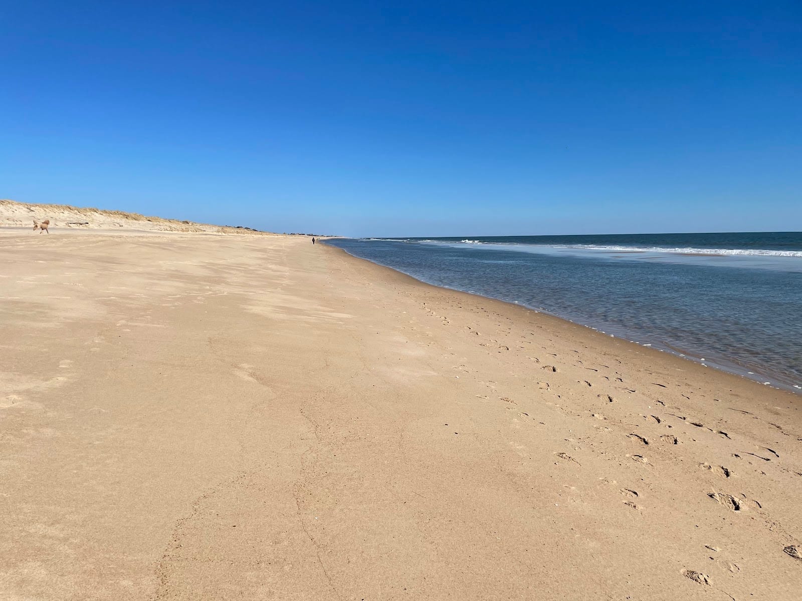 Indian Wells Beach in The Hamptons