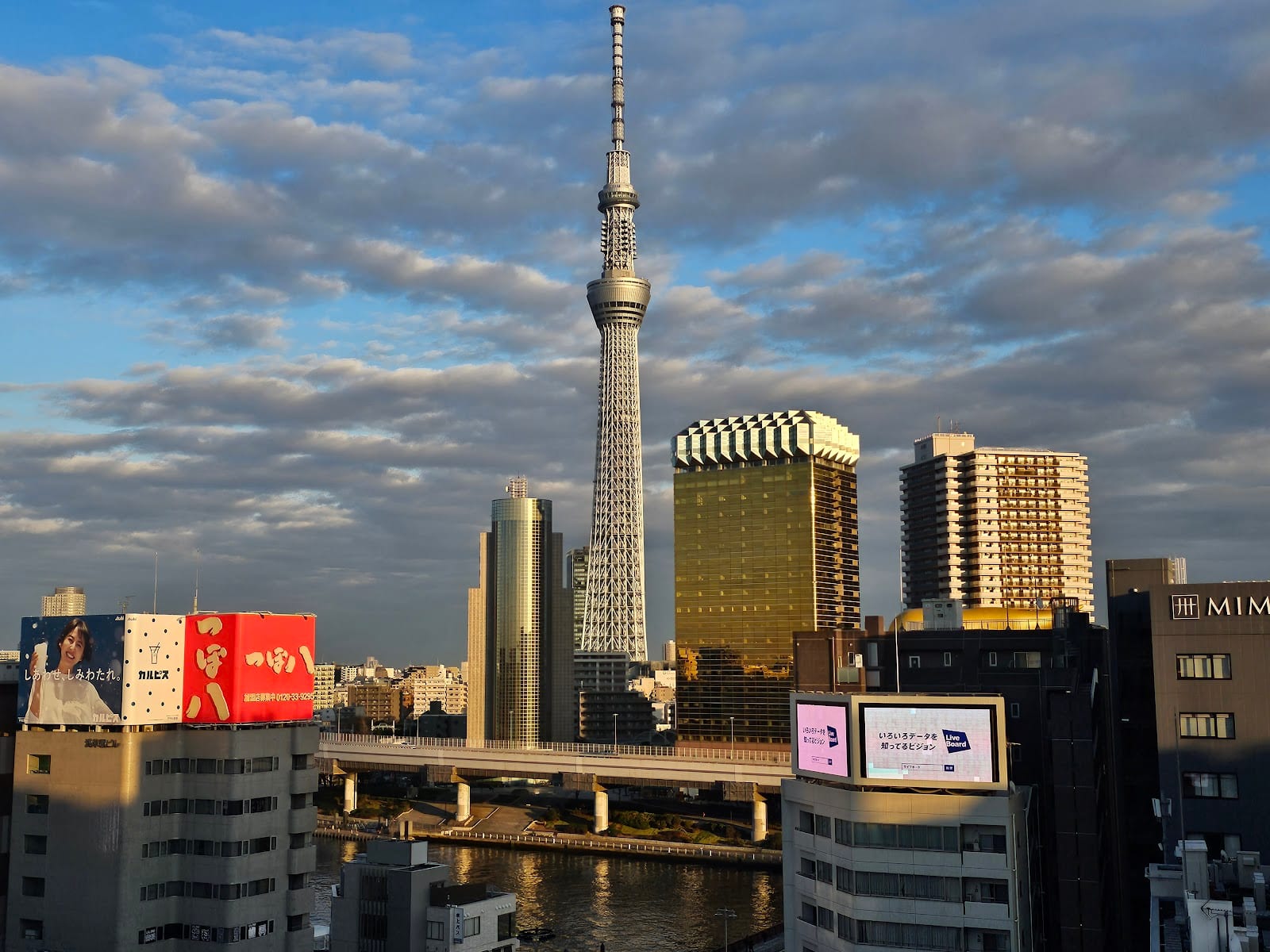 Tokyo Skytree across the river from the center's observation terrace.