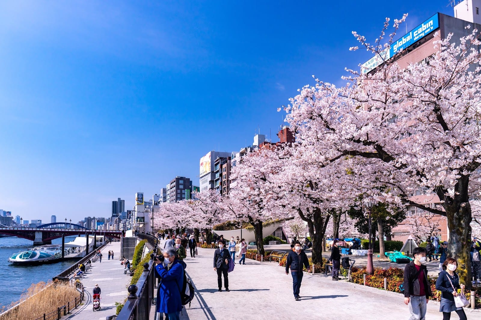The cherry-lined riverside walk in Sumida Park.