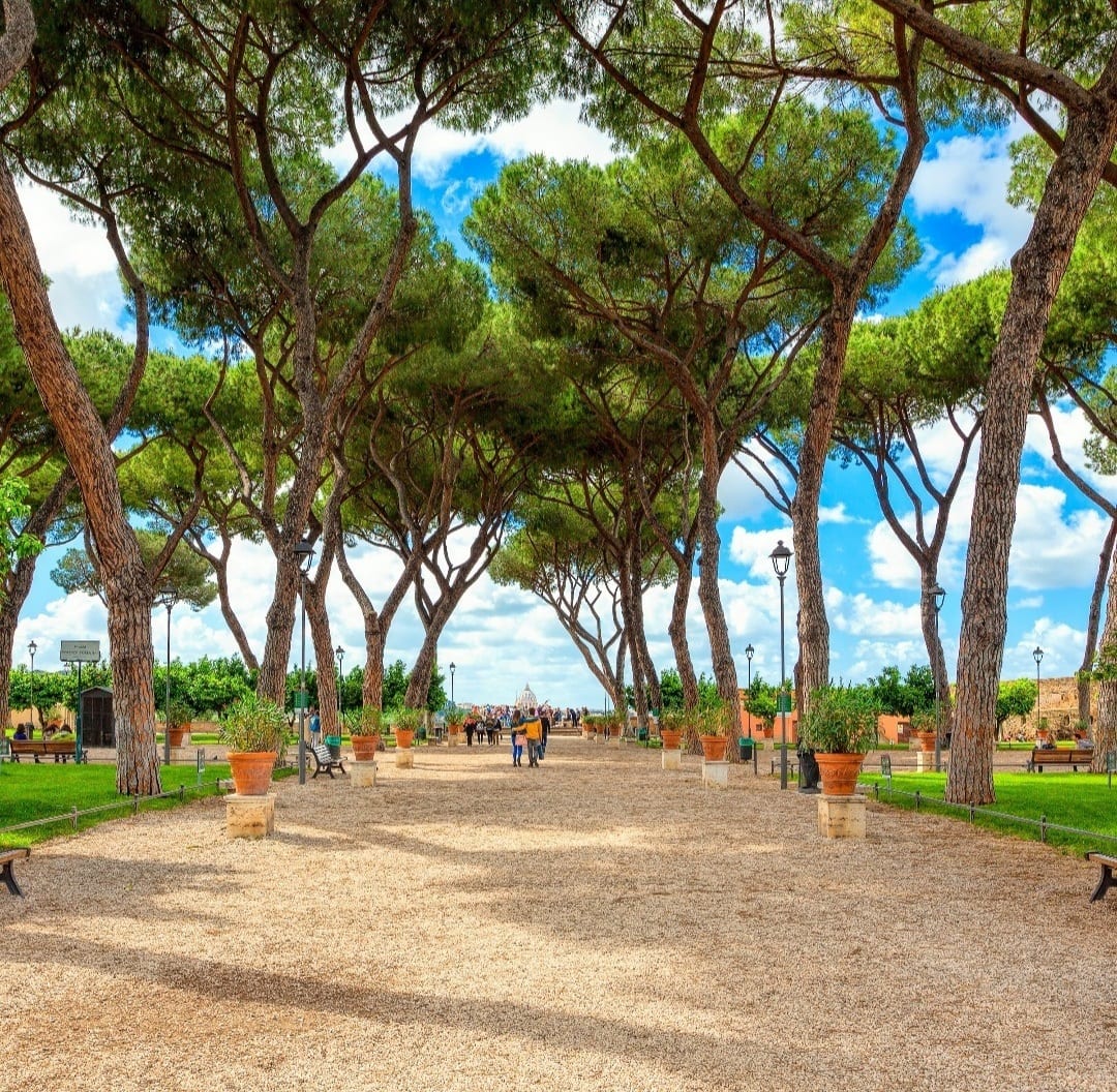 The umbrella-pine gravel promenade and orange trees inside the Giardino degli Aranci.