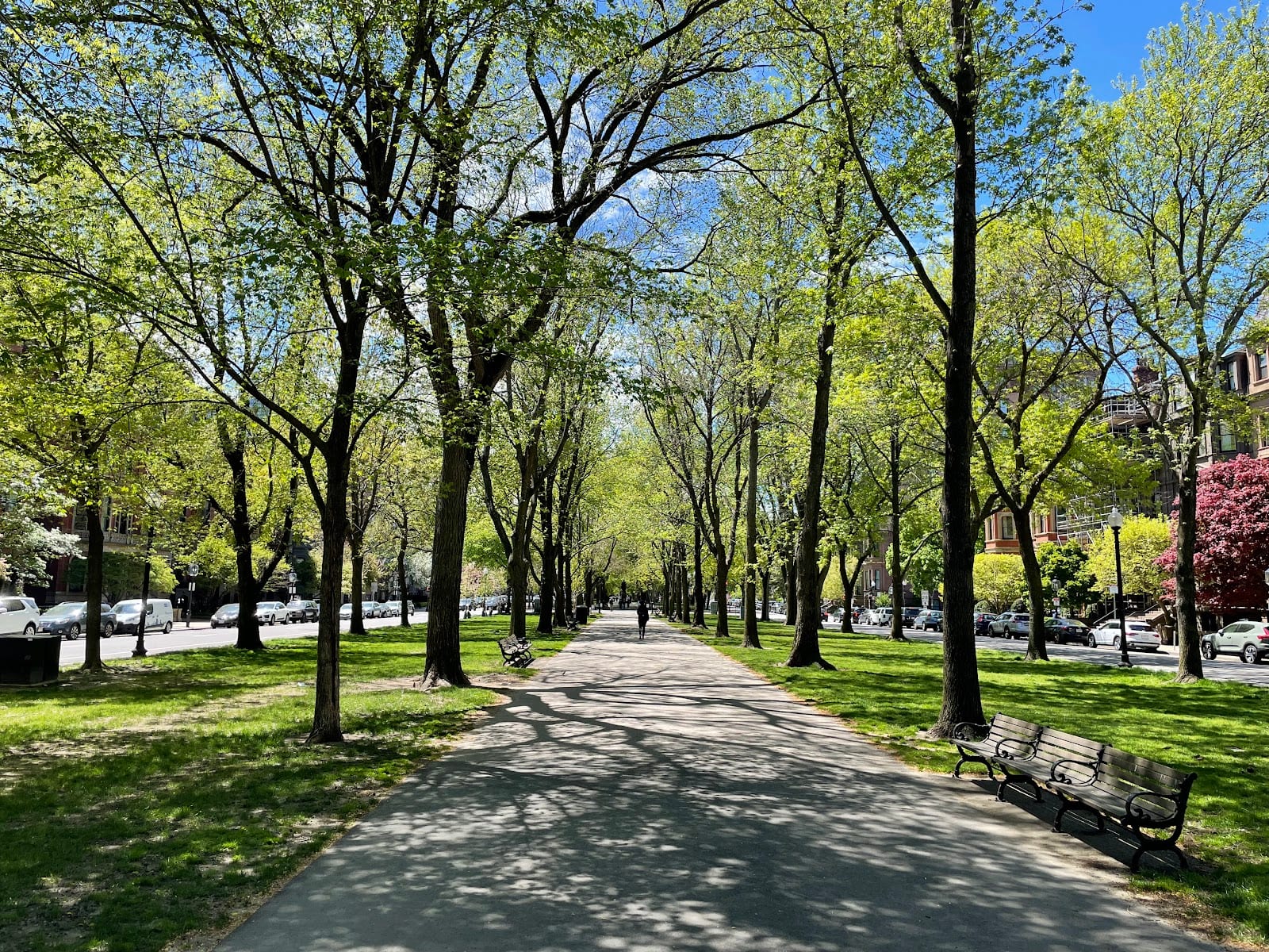 Tree-lined Commonwealth Avenue Mall in Boston's Back Bay.