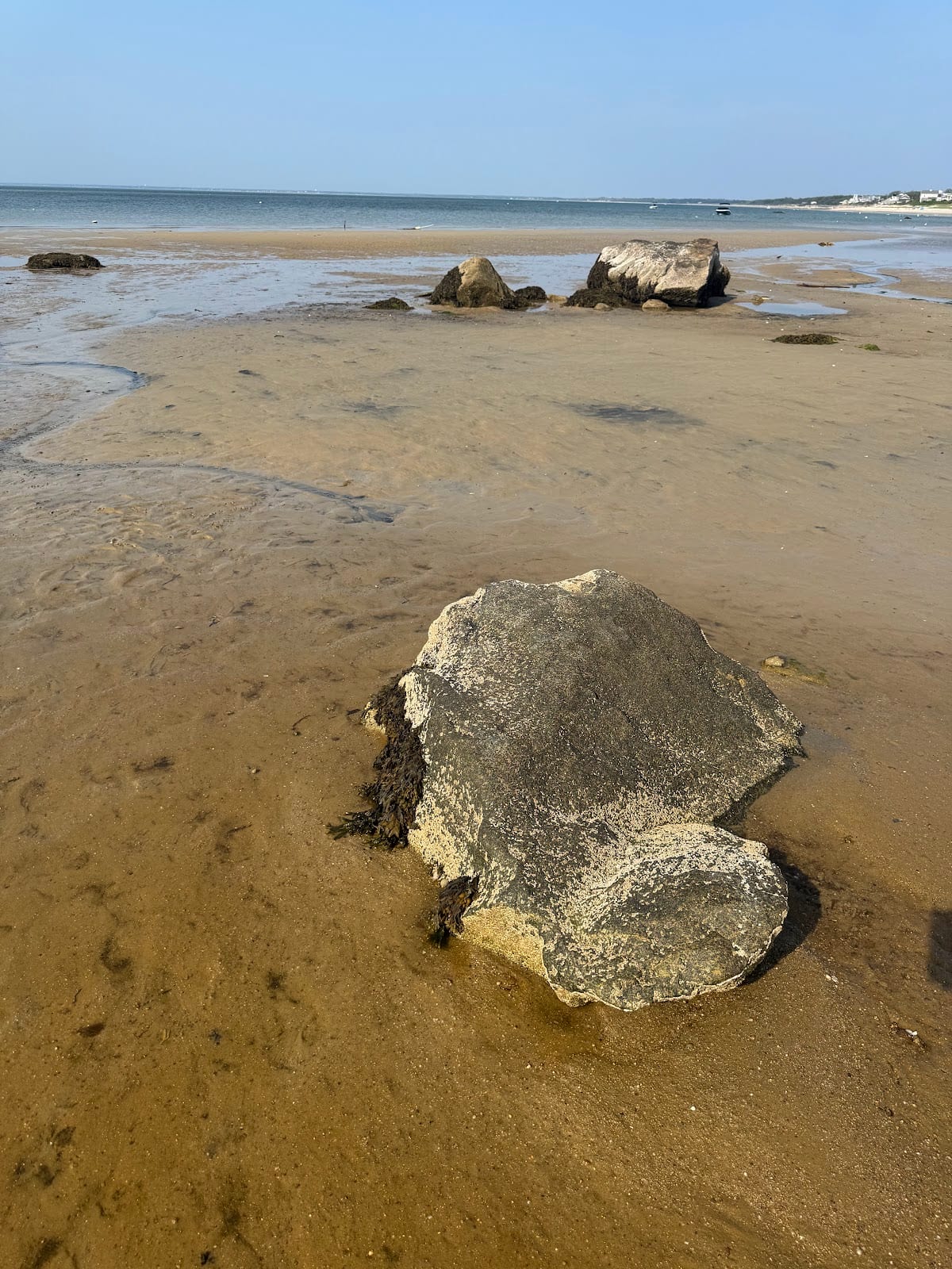 Brewster Flats in Cape Cod