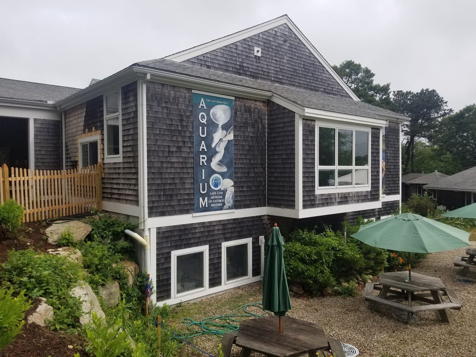 Cape Cod Museum of Natural History in Cape Cod