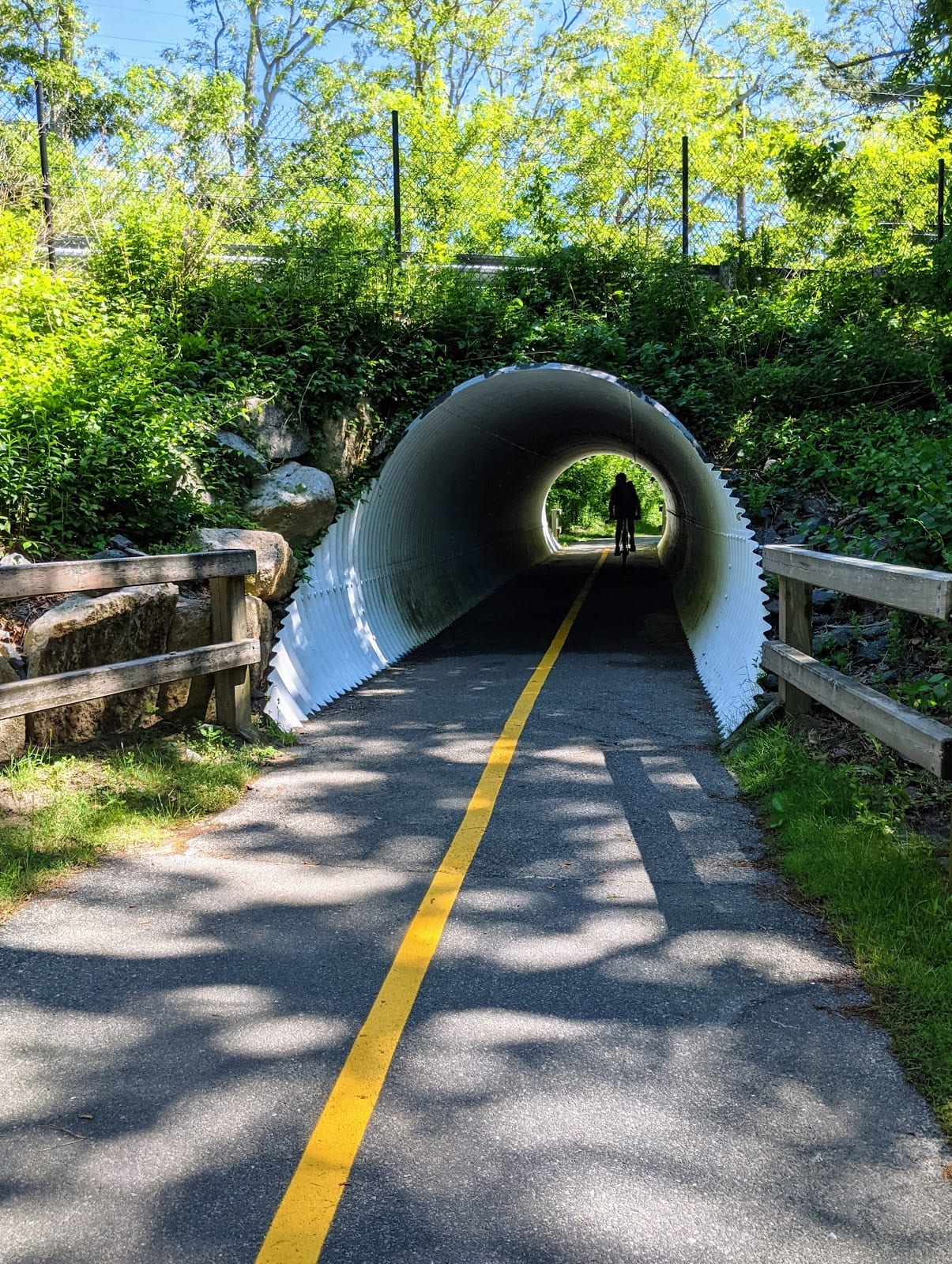 Cape Cod Rail Trail (Brewster Access) in Cape Cod