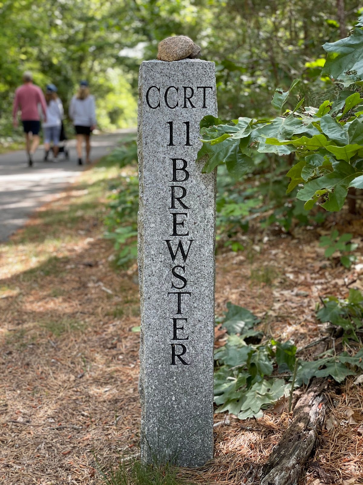 Cape Cod Rail Trail (Brewster Access) in Cape Cod