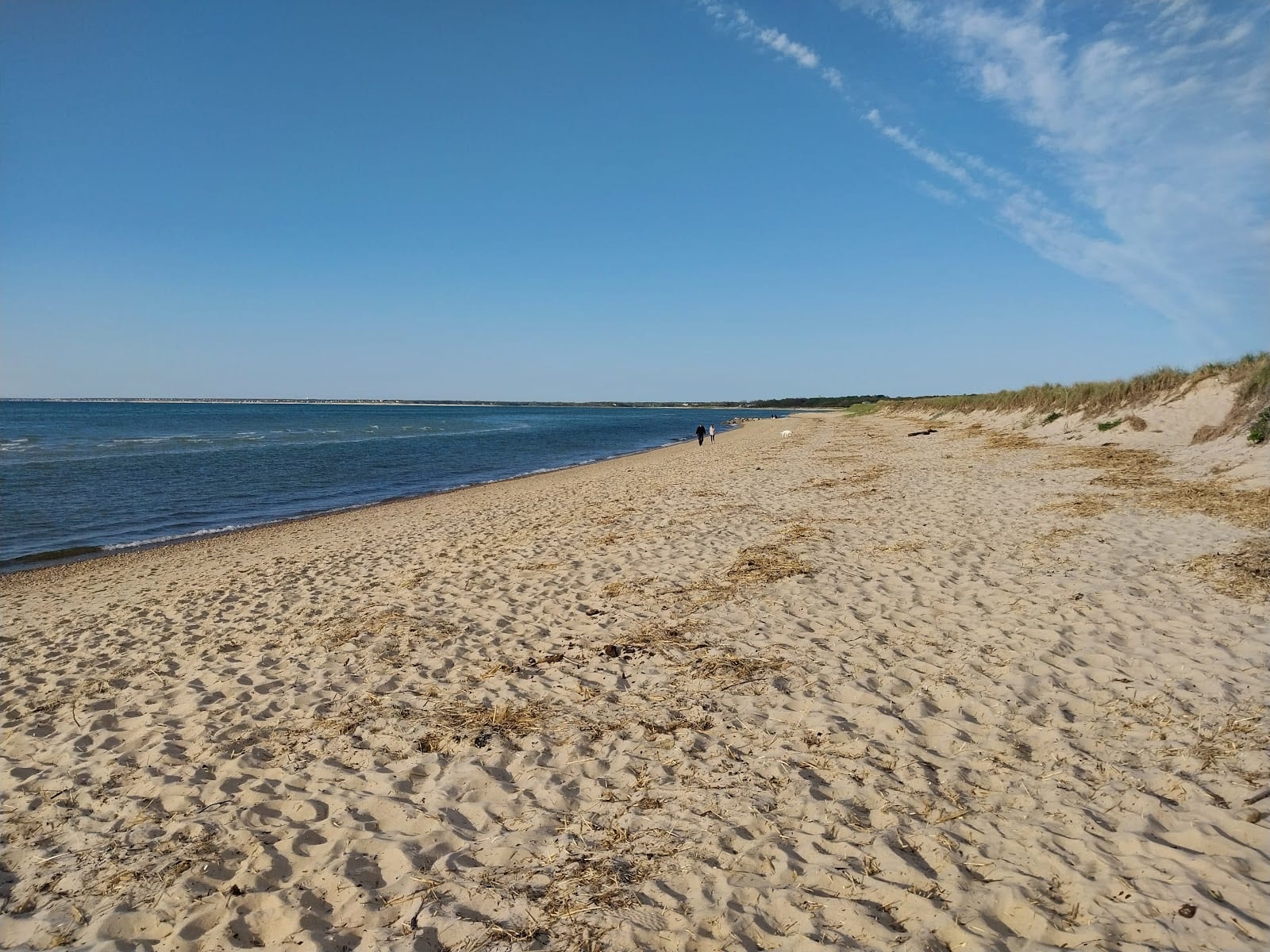 Crosby Lane Beach in Cape Cod