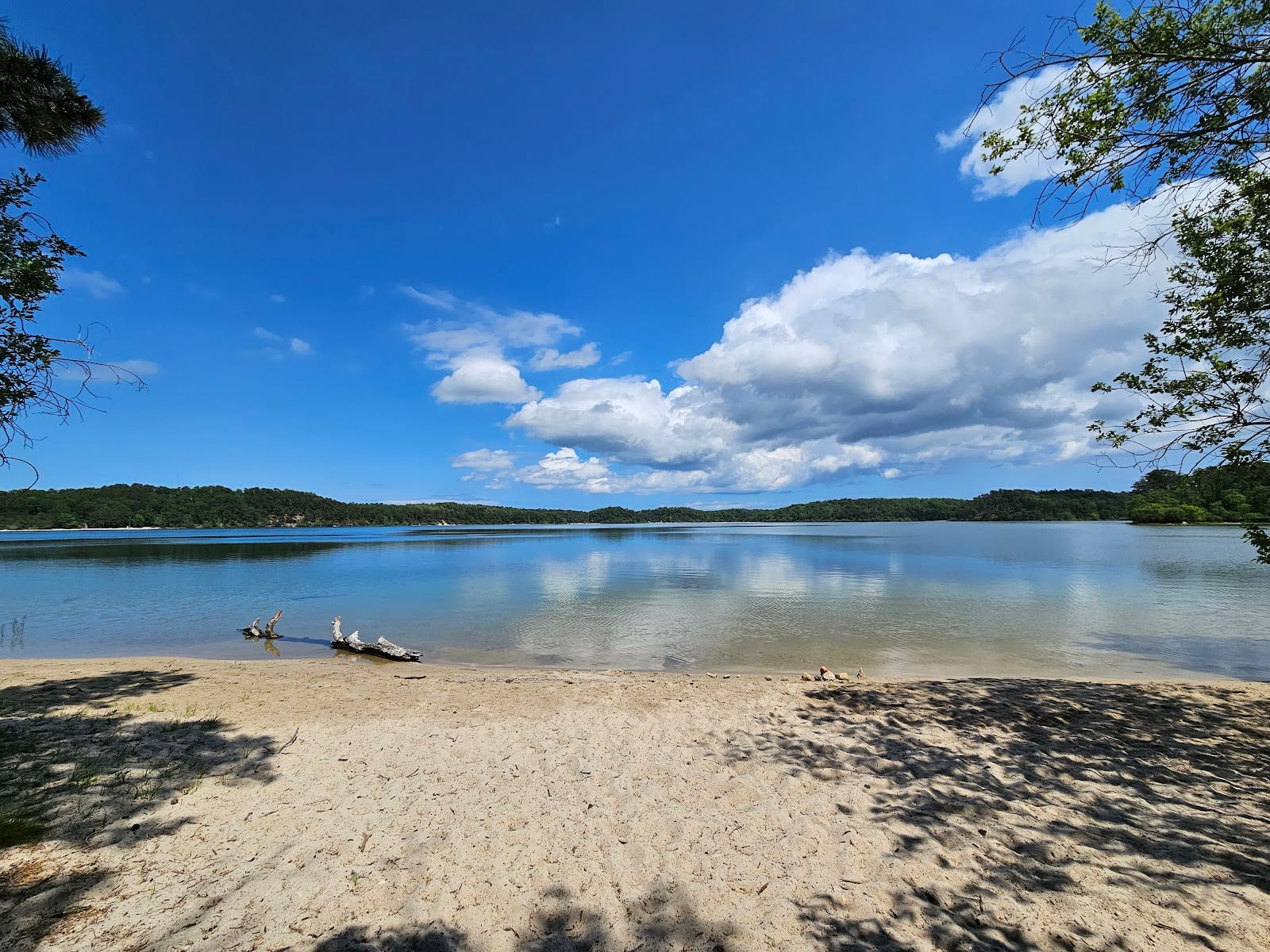 Nickerson State Park in Cape Cod