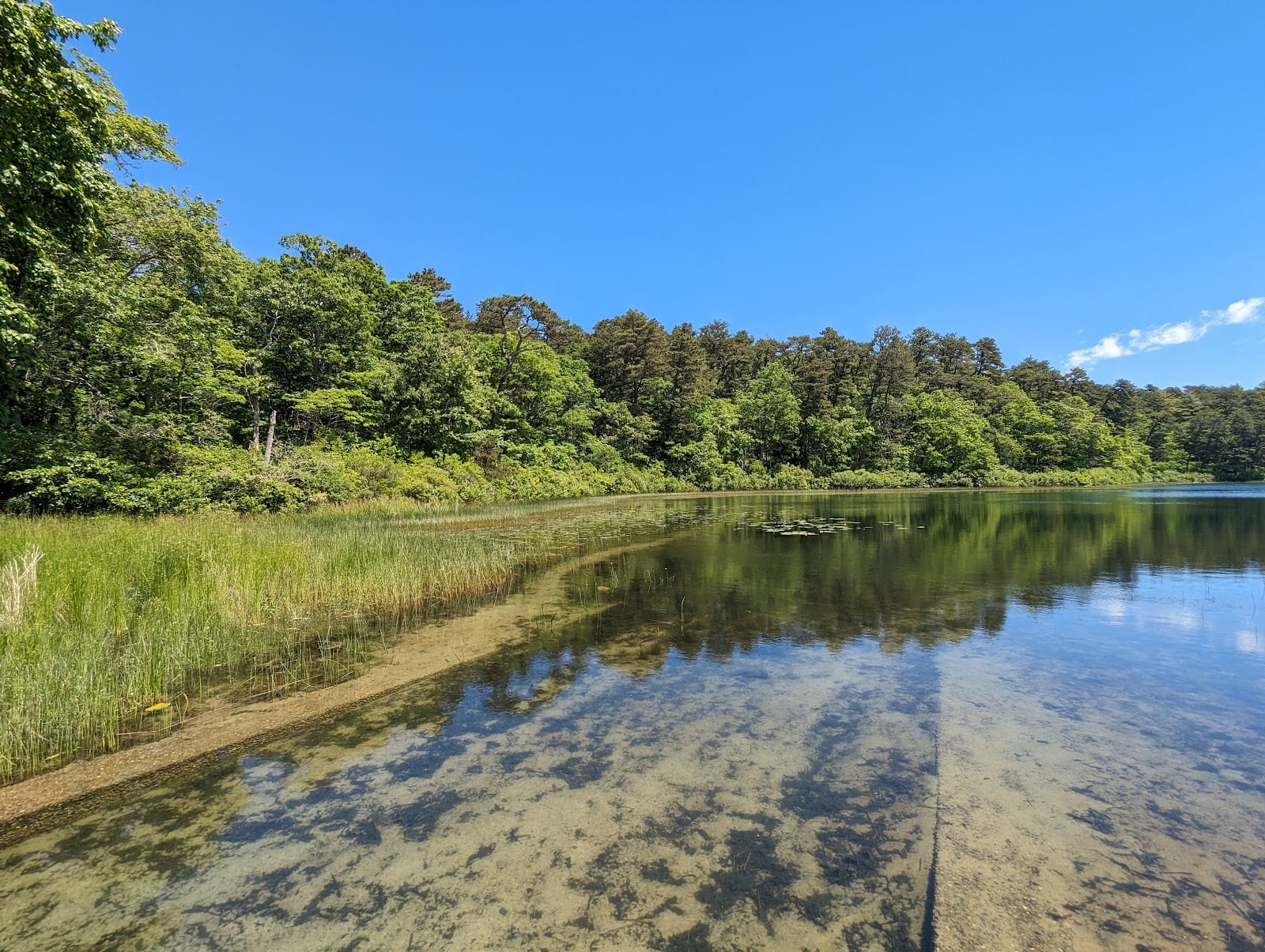 Nickerson State Park in Cape Cod