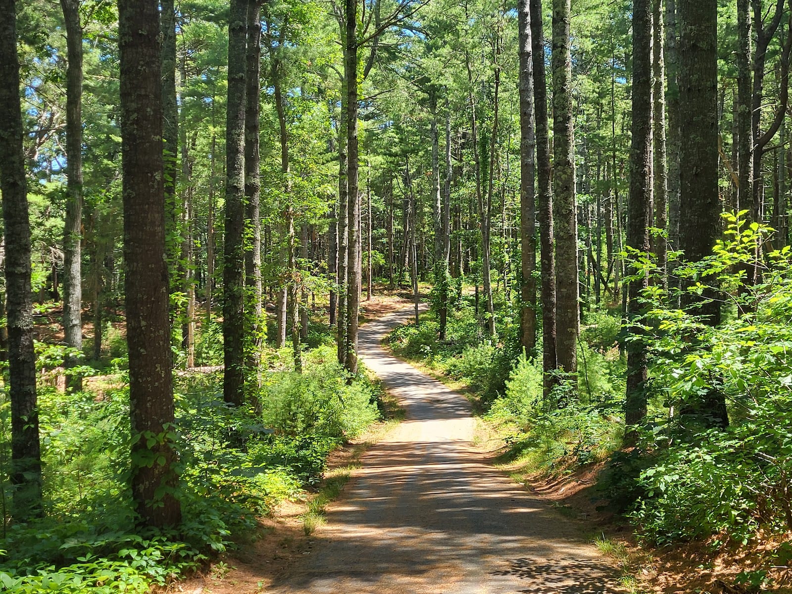 Nickerson State Park in Cape Cod