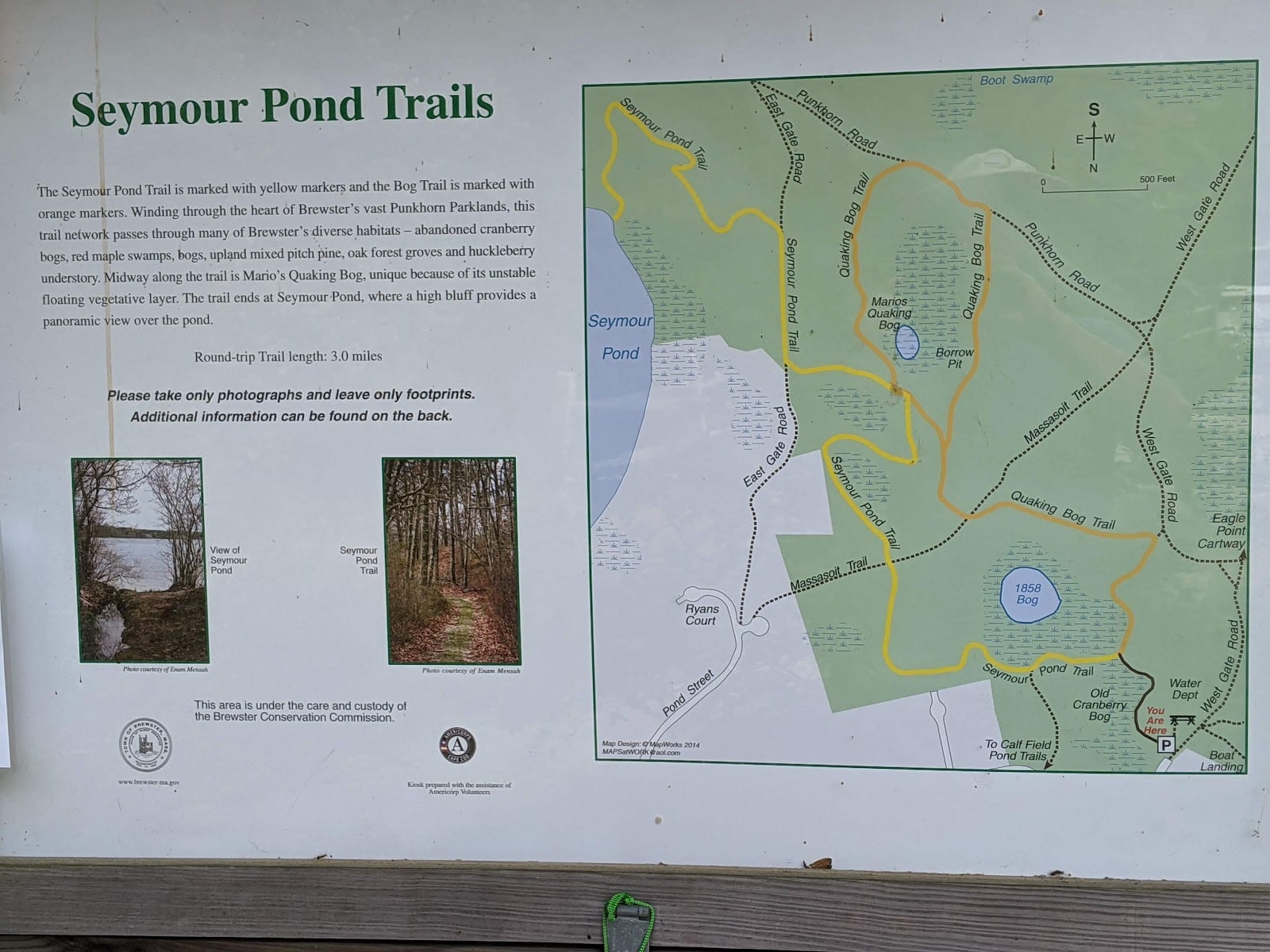 Punkhorn Parklands in Cape Cod