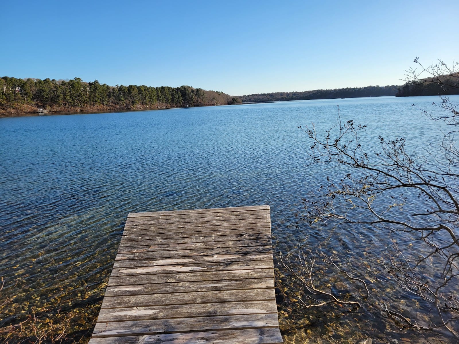 Sheep Pond in Cape Cod