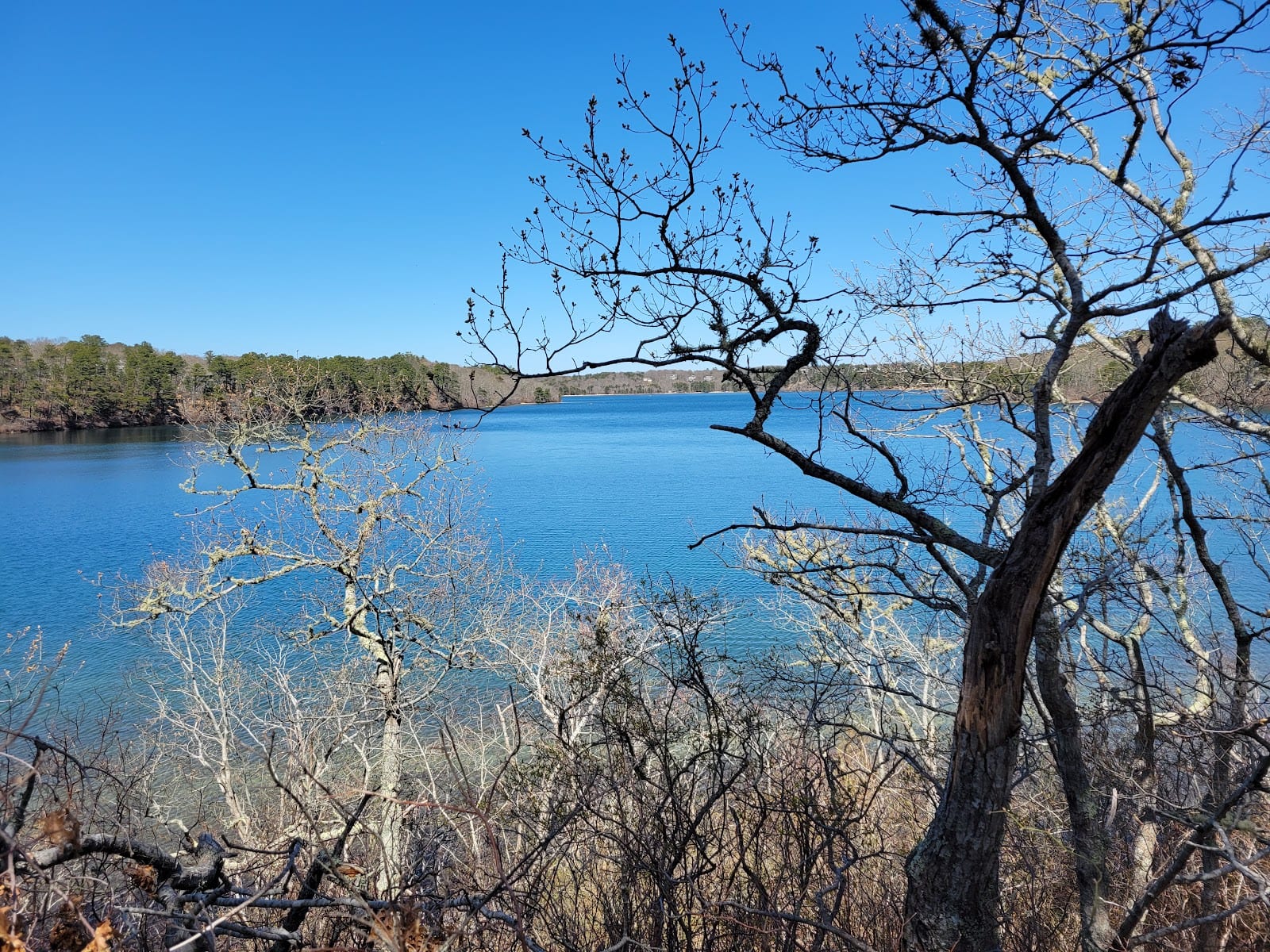 Sheep Pond in Cape Cod