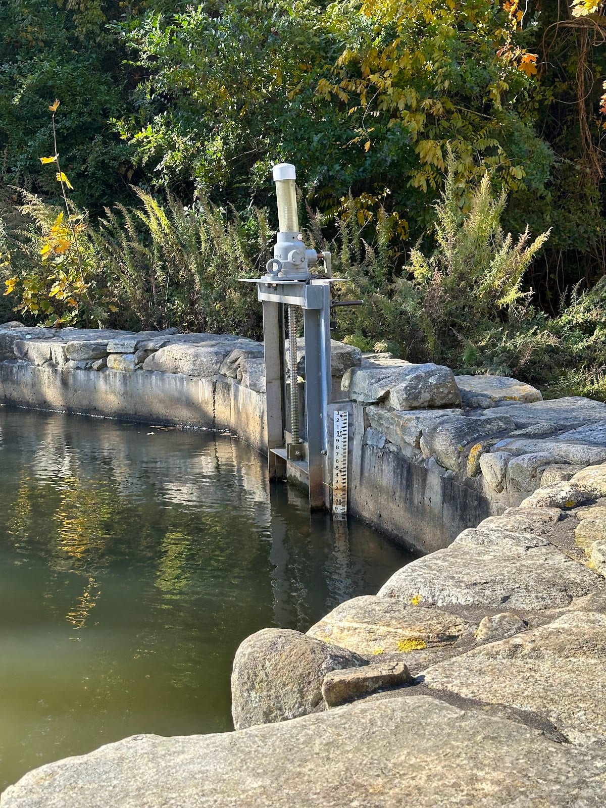Stony Brook Mill & Herring Run in Cape Cod