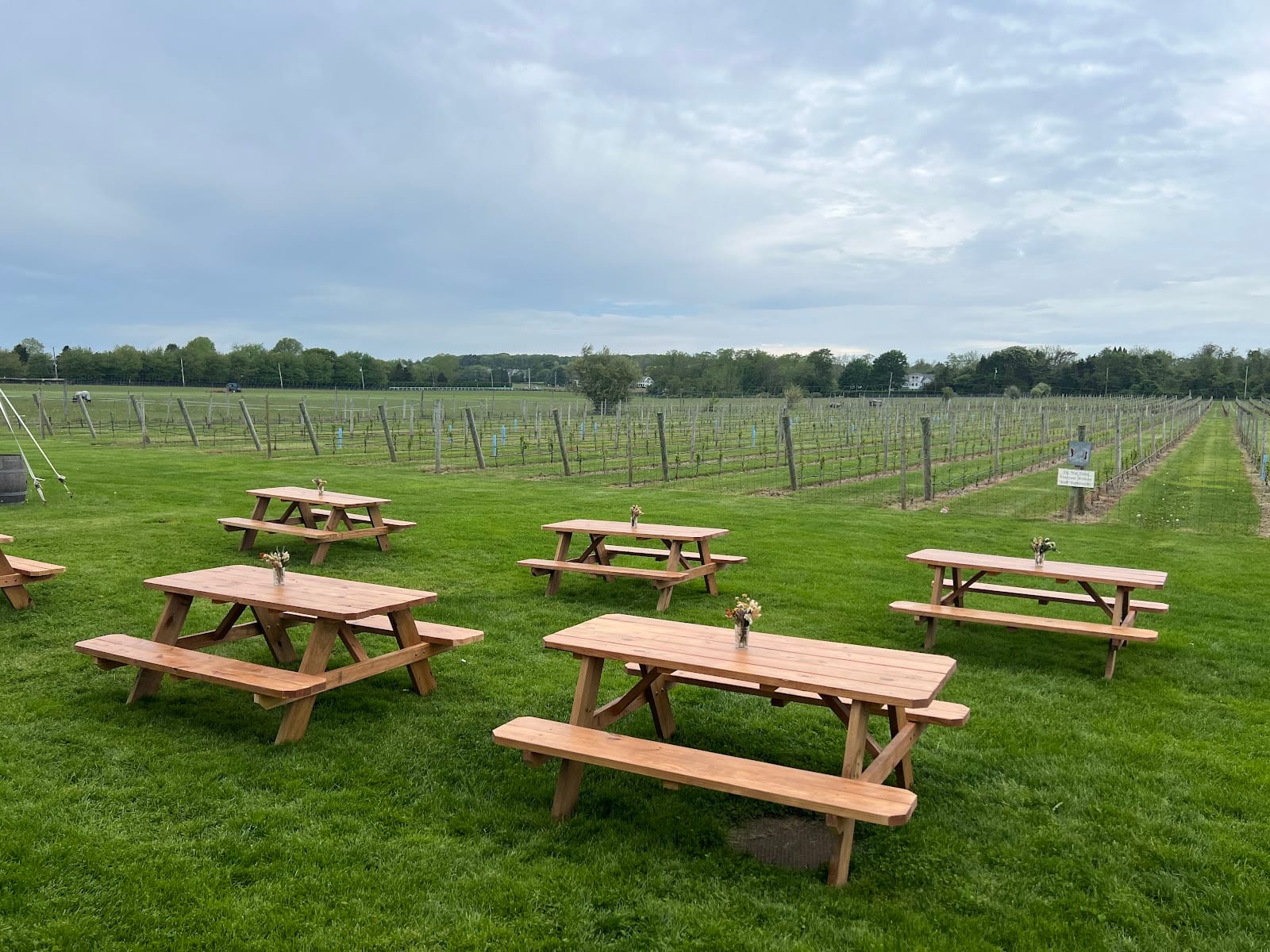 Channing Daughters Winery in The Hamptons