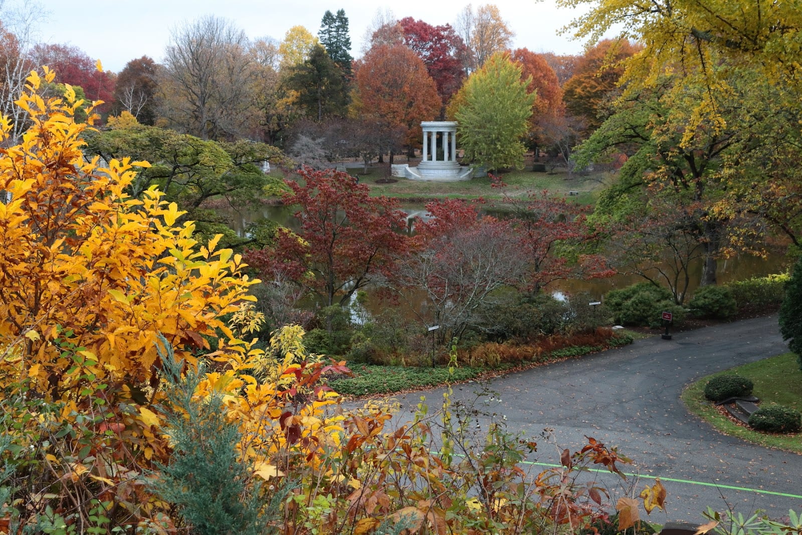 Tree-lined path in Mount Auburn Cemetery, Cambridge.