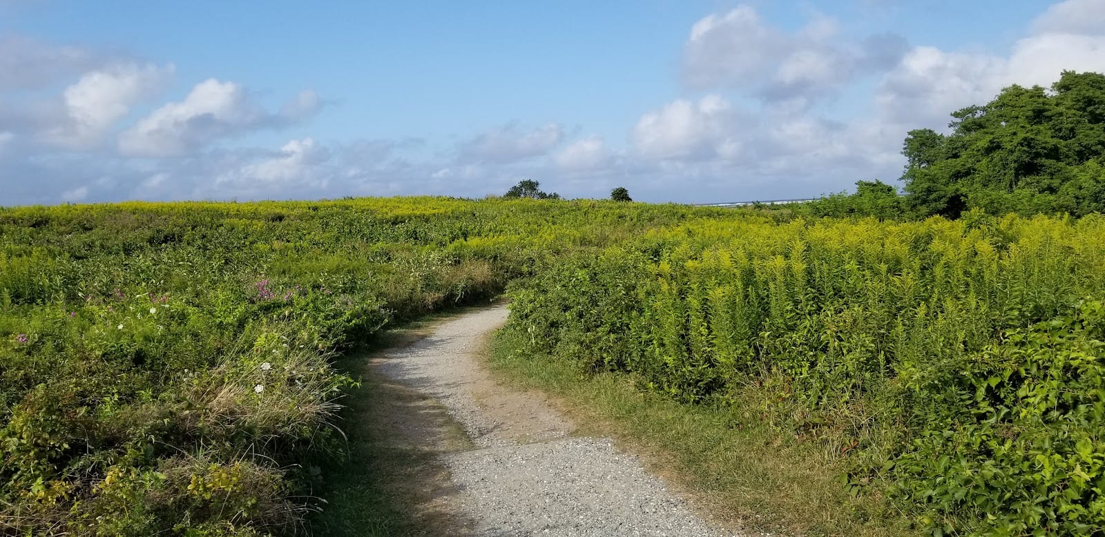 Fort Hill Trail in Cape Cod