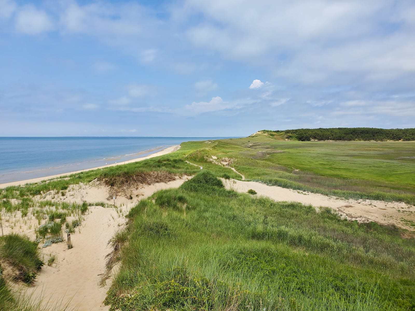Great Island Trail in Cape Cod